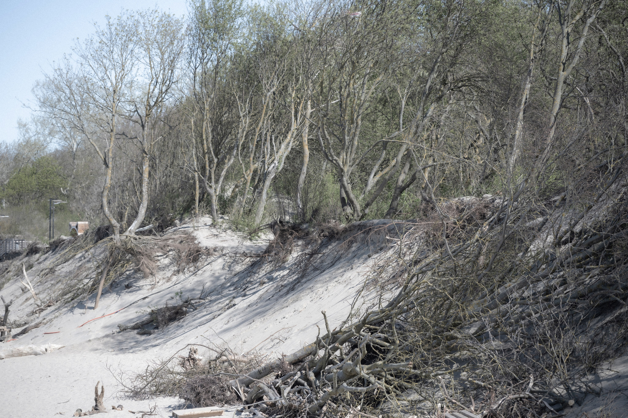 Калининград