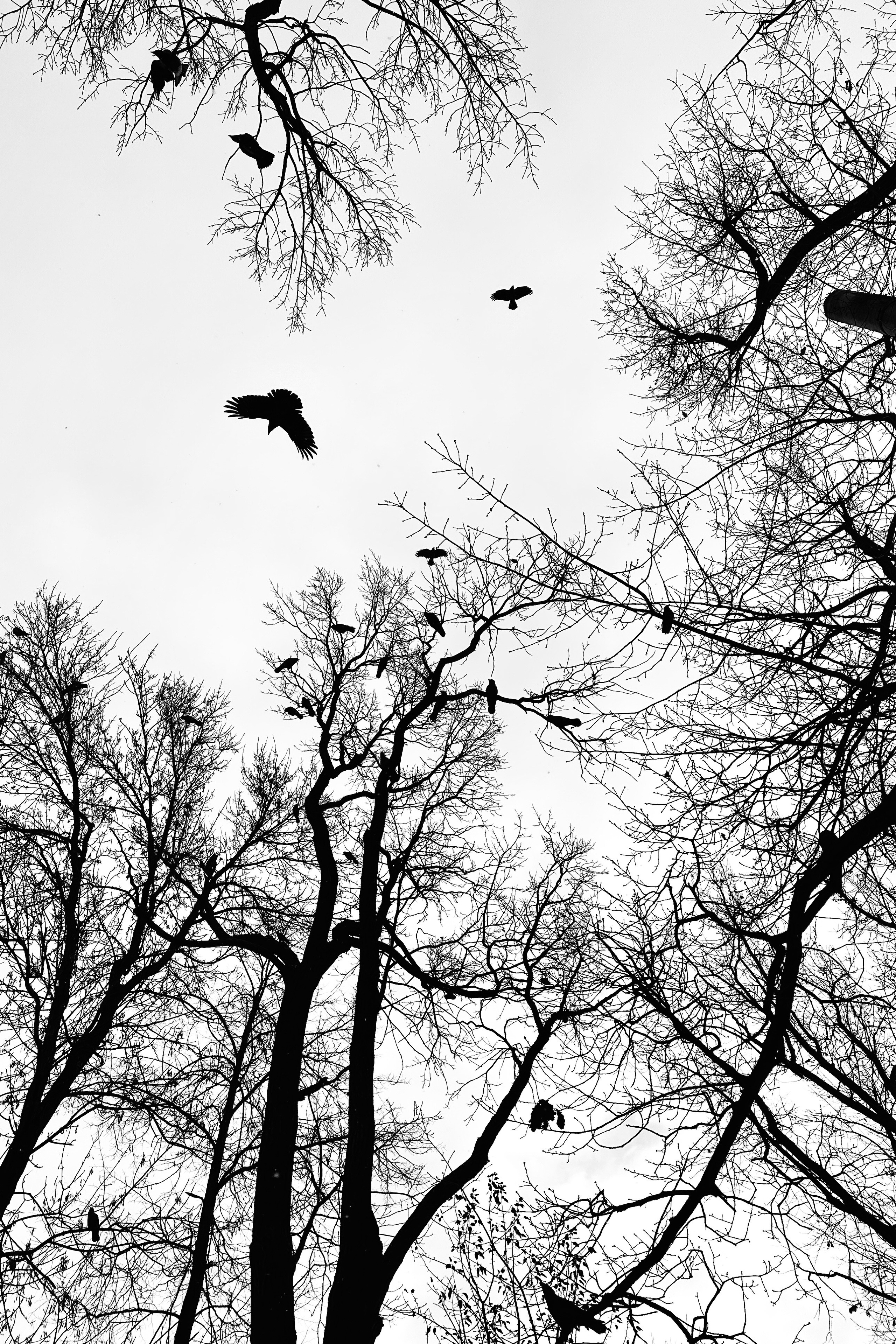 Рефлексия. Портретный фотограф