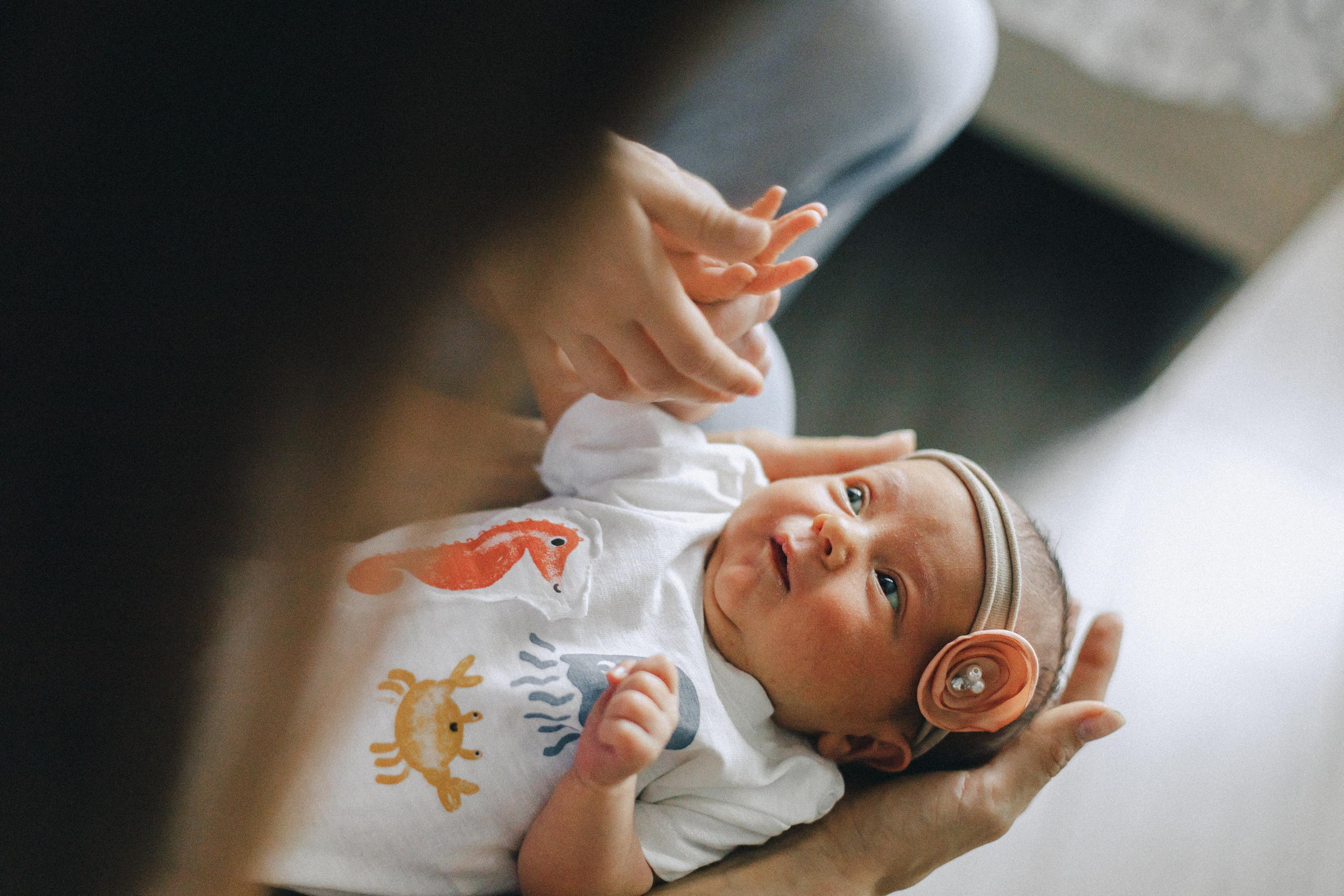 Ира, Леша, Максим и Майя. Фотограф Таганрог Любимая Надя