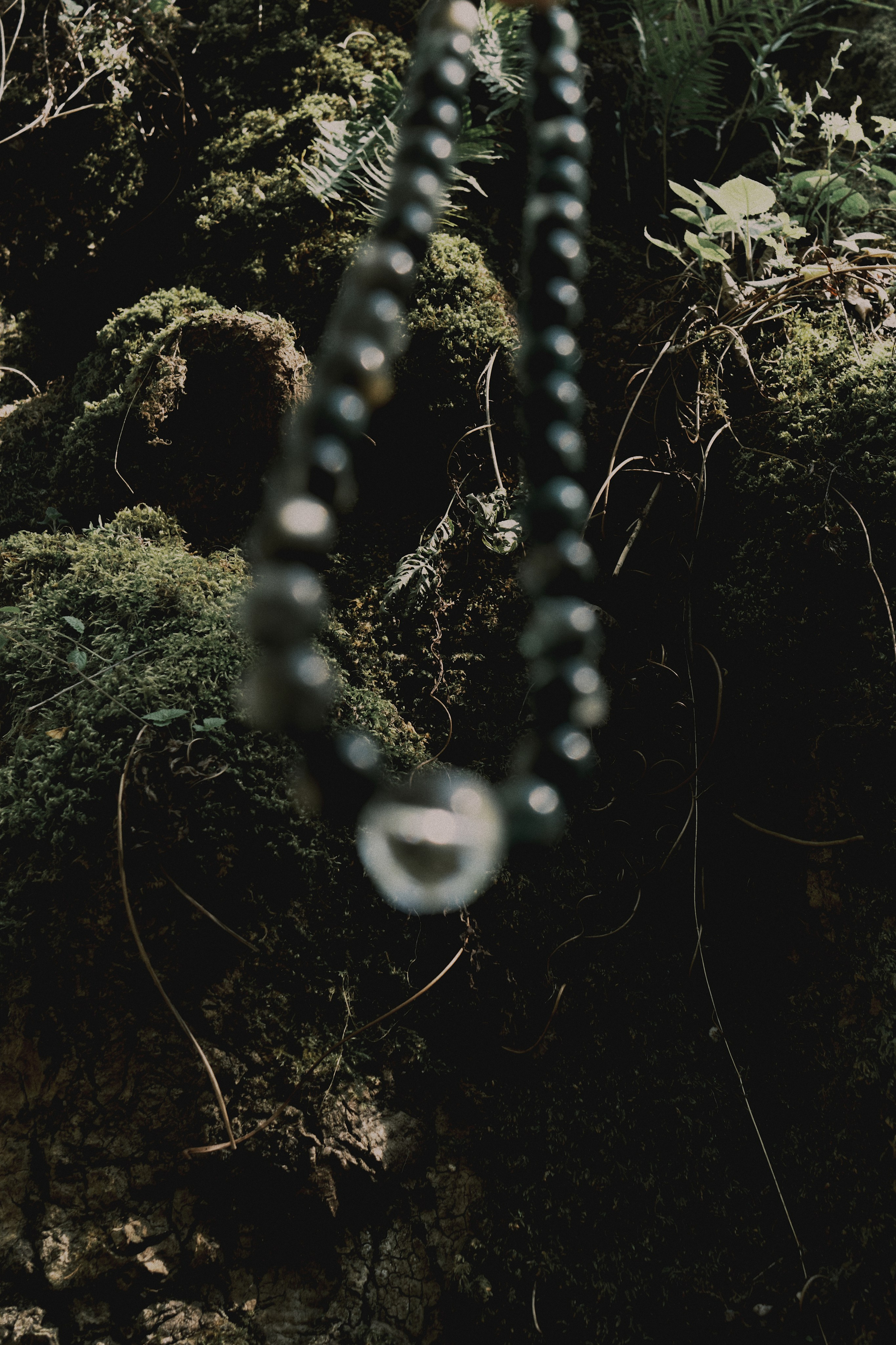 Content for OMNIS. DISEMICHASNOVA