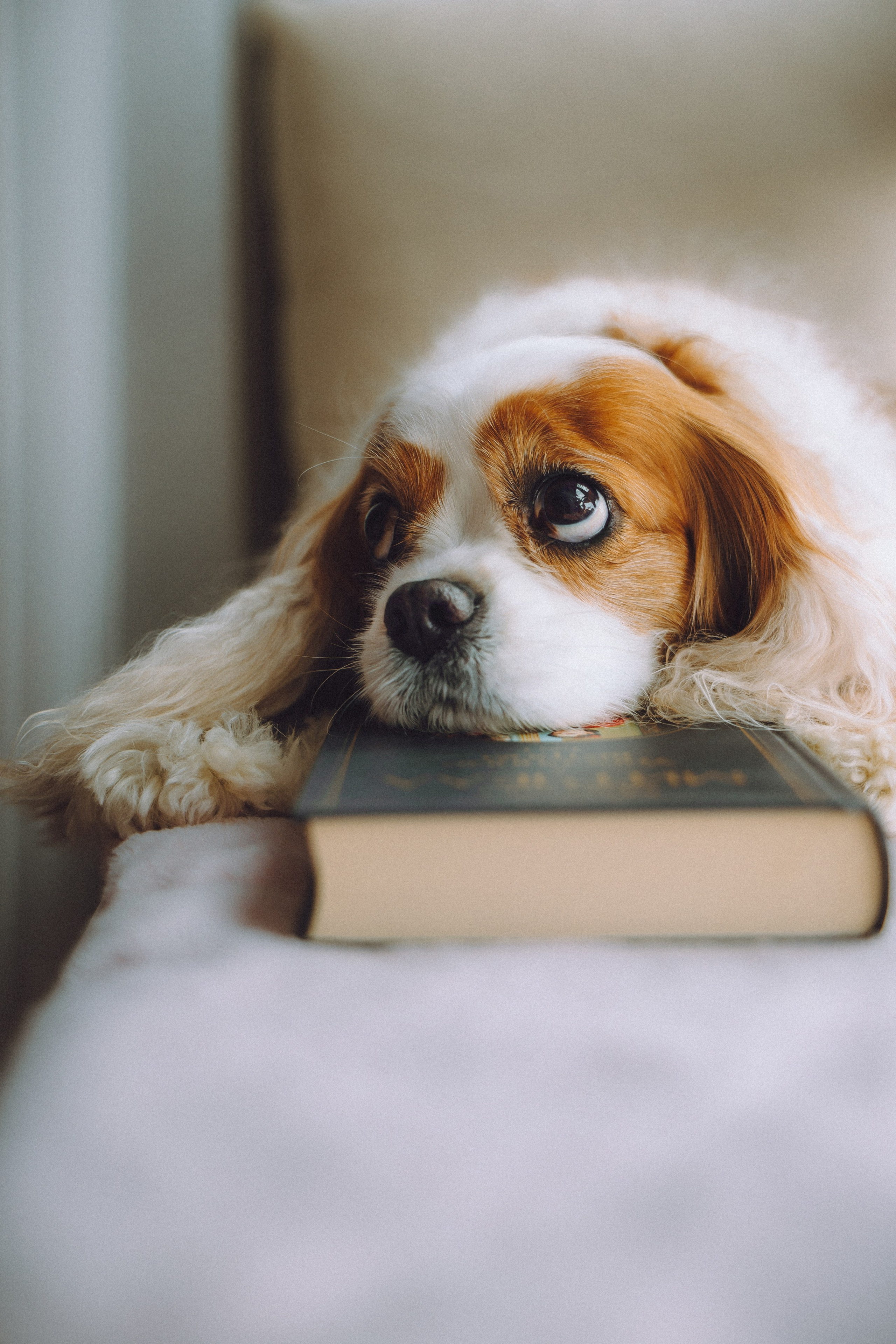 Наташа и Вики