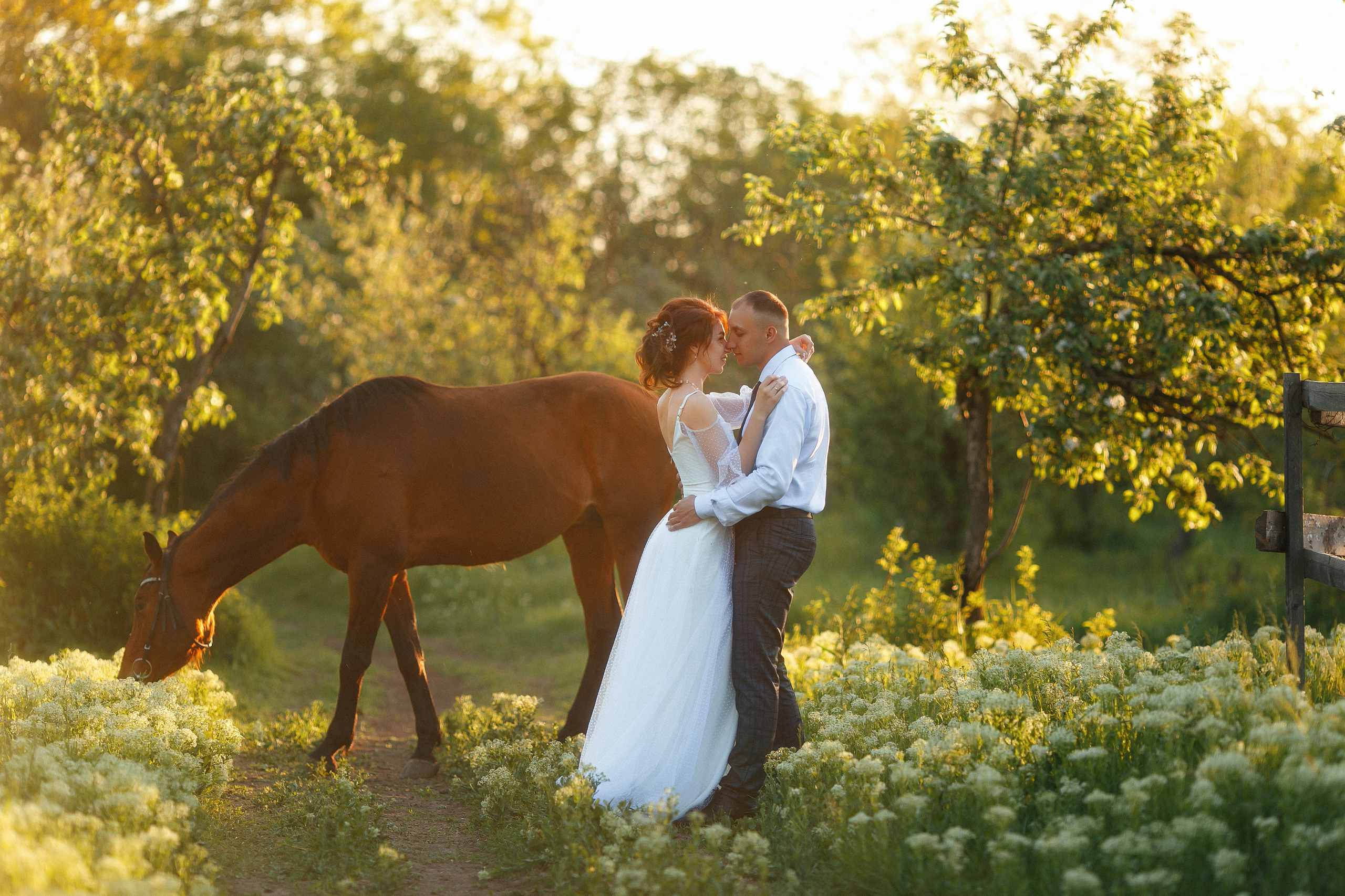 Услуги фотографа Виктории Литвиненко. Свадебный и семейный фотограф  Новочеркасск Виктория Литвиненко