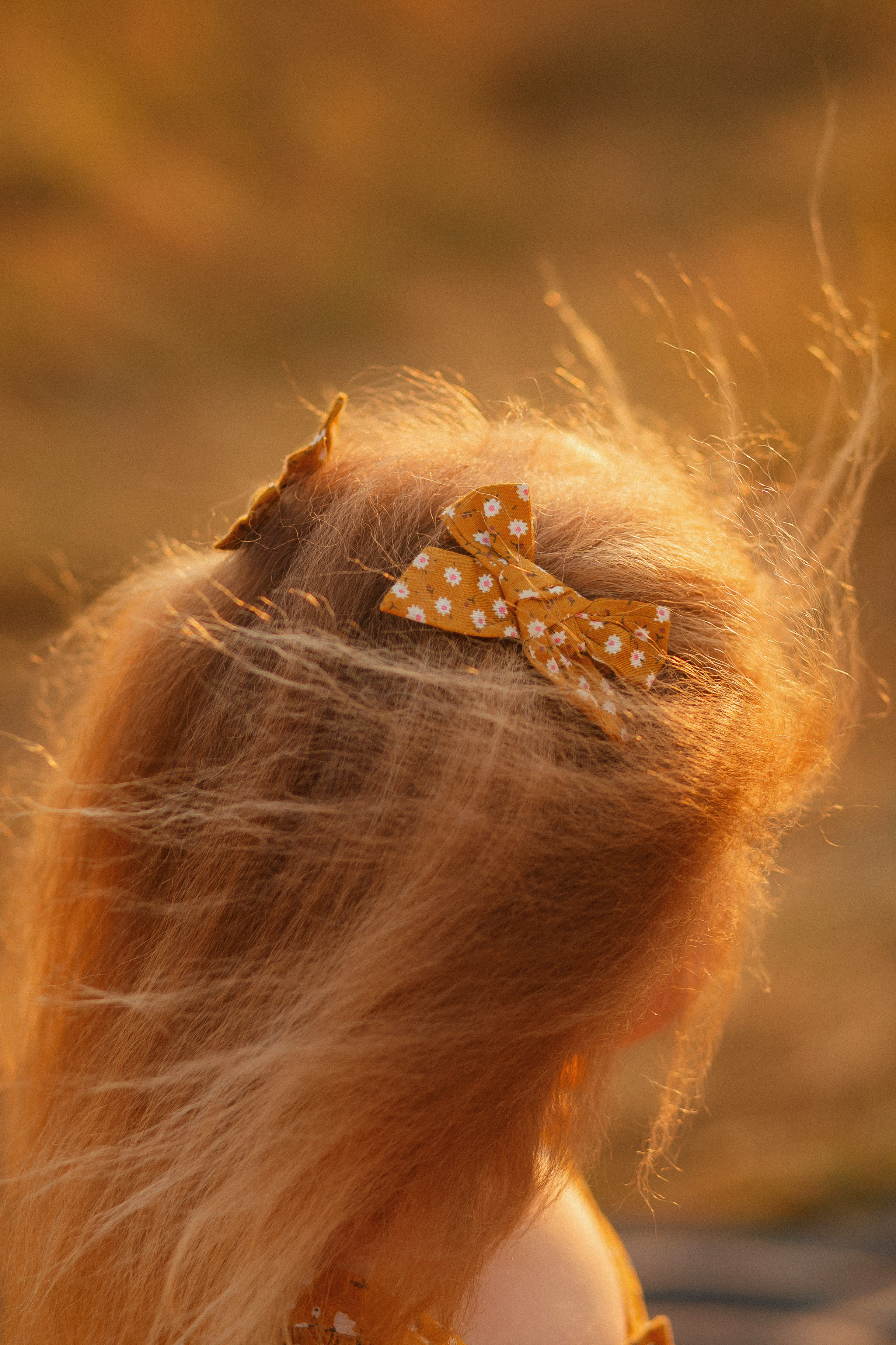 Семья Екатерины. Свадебный и семейный фотограф  Новочеркасск Виктория Литвиненко