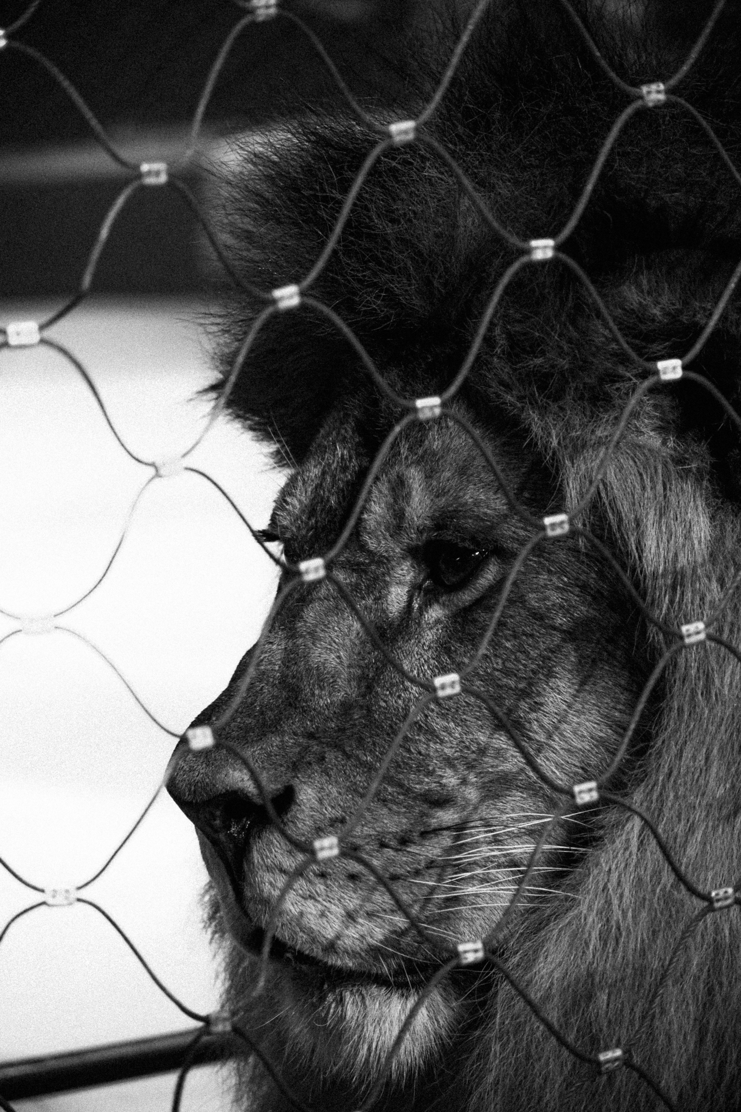 Артём Пылаев. Портфолио. Репортаж. Репортажный и портретный фотограф, в Москве Артём Пылаев