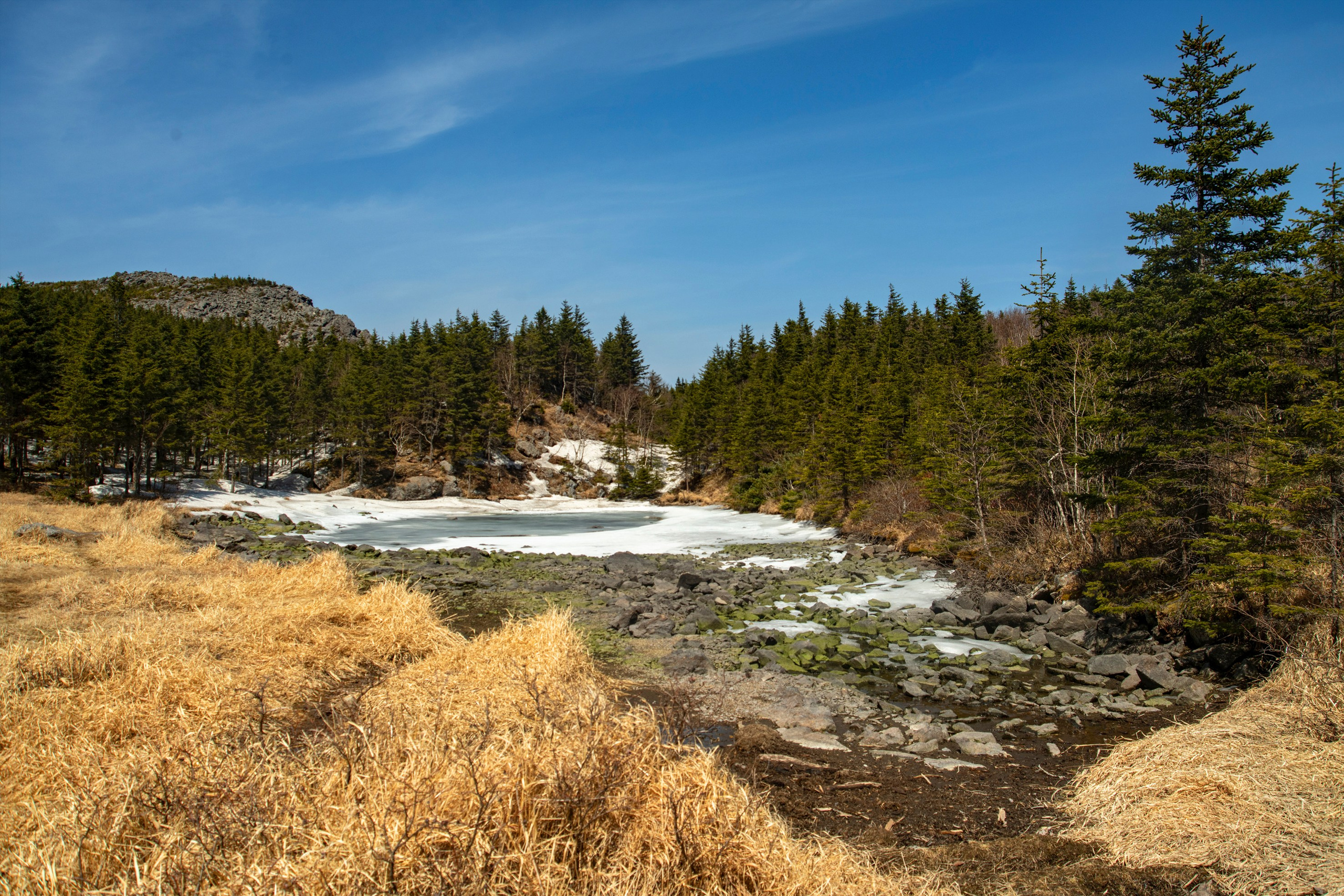 Природа Хабаровского края. Команда фотографов Кристины Ивановой
