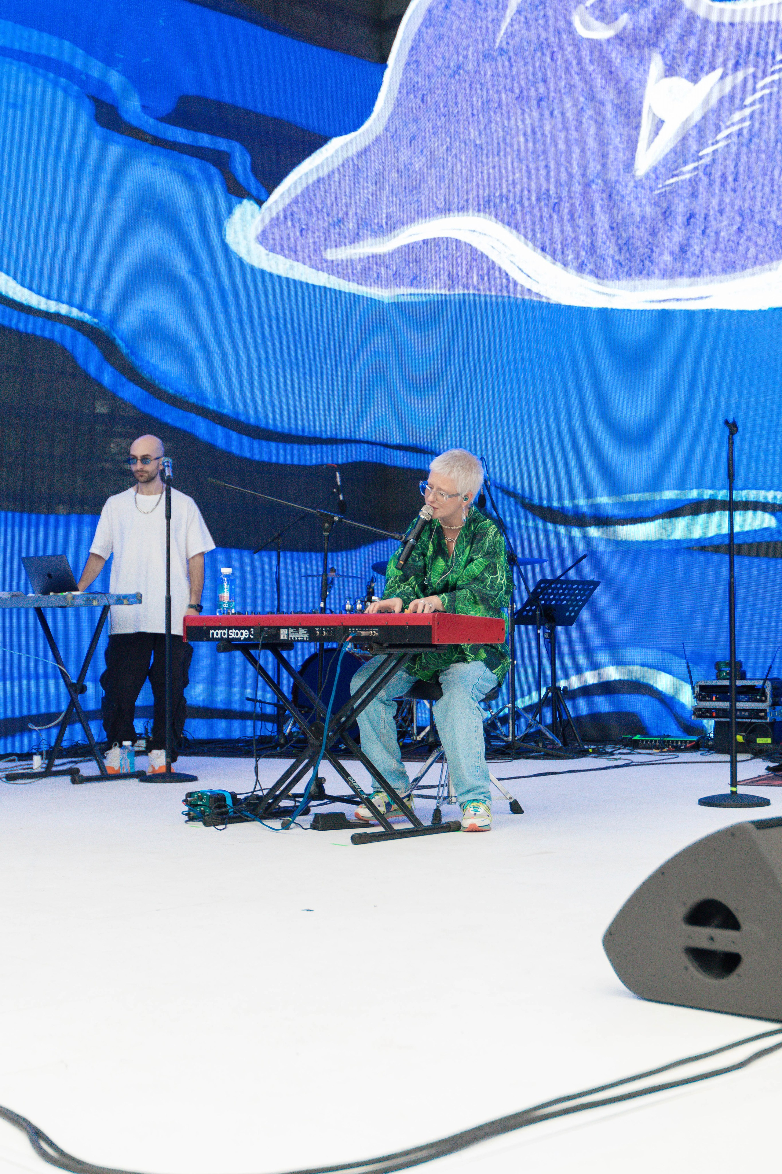 Тося Чайкина. Концертный фотограф