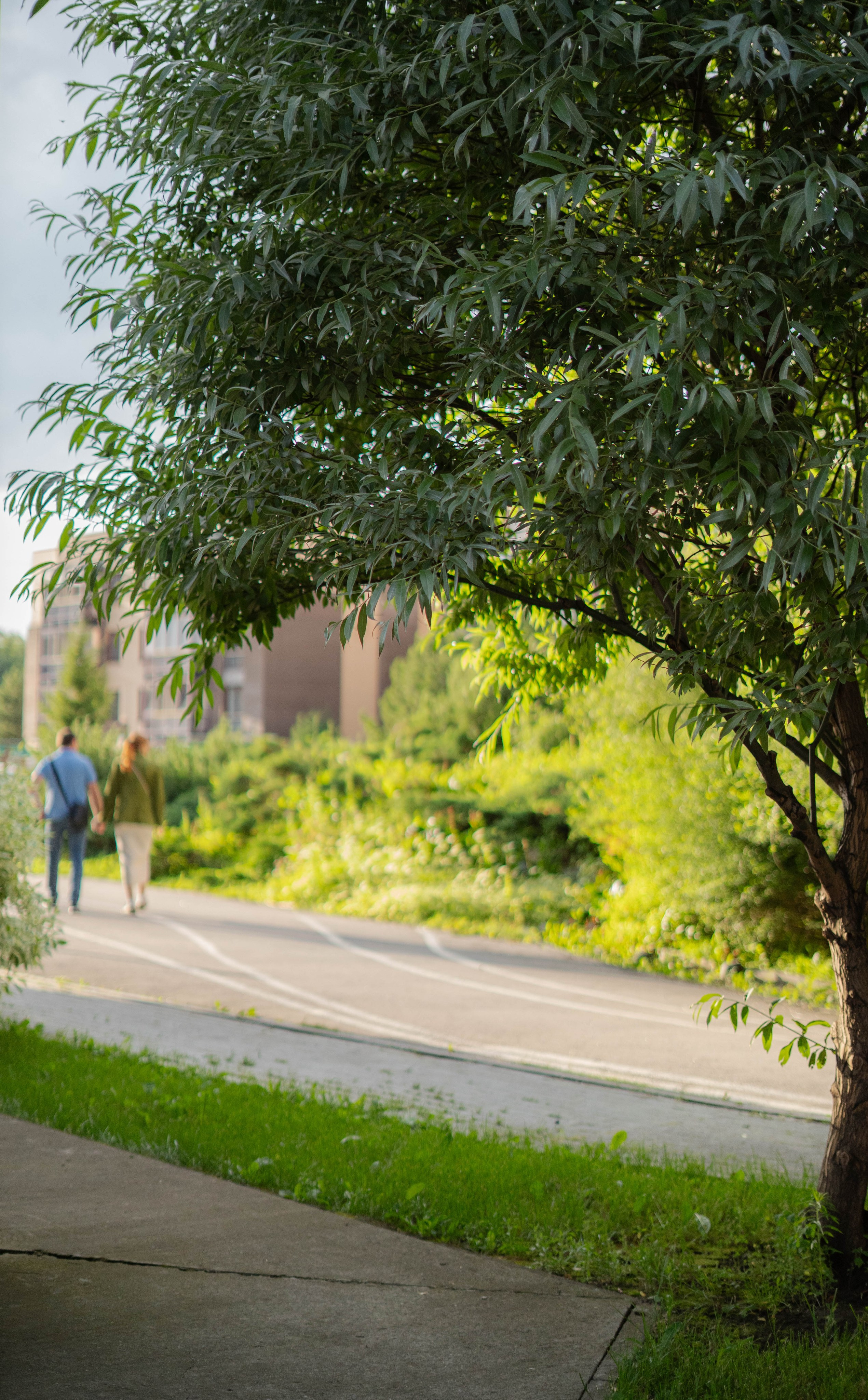 Прогулочная фотосессия Новосибирск Краснообск Love-story  фотосессия Новосибирск Краснообск