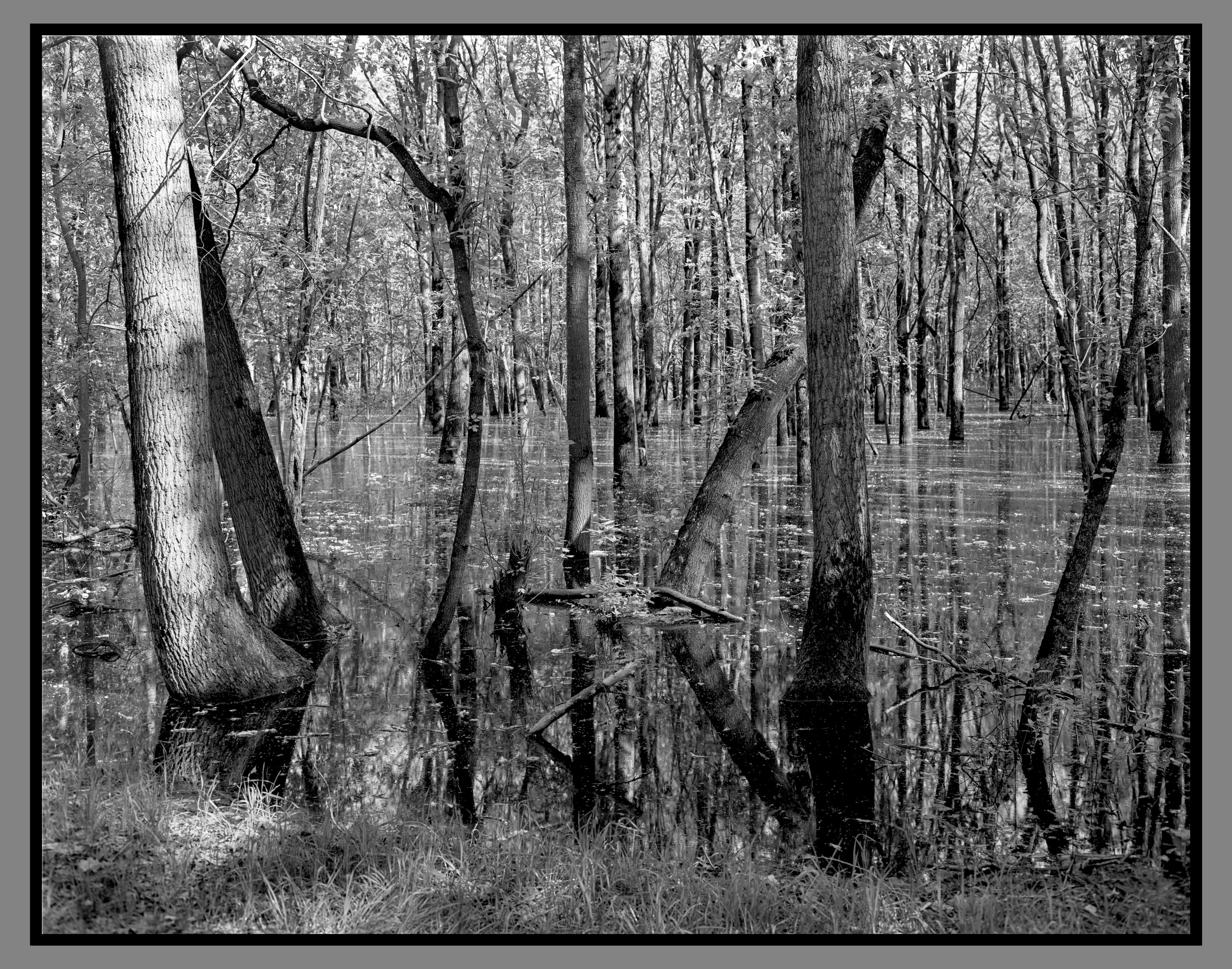 Author’s photo works in the ambrotype technique! Analog photography. Sergey Kondriuk art-photographer | artist