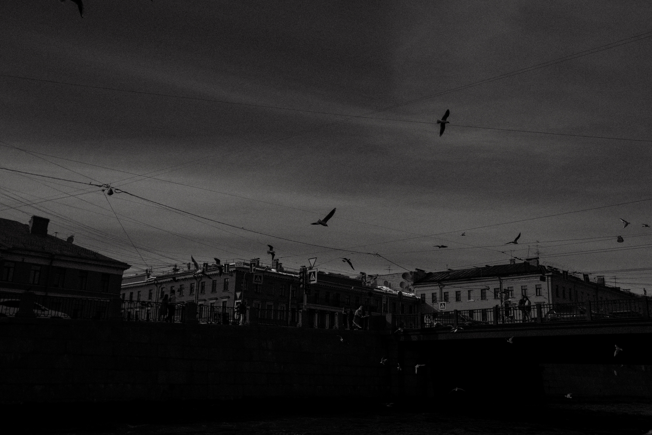 Ксения & Сергей. Свадебный фотограф Таня Караисаева