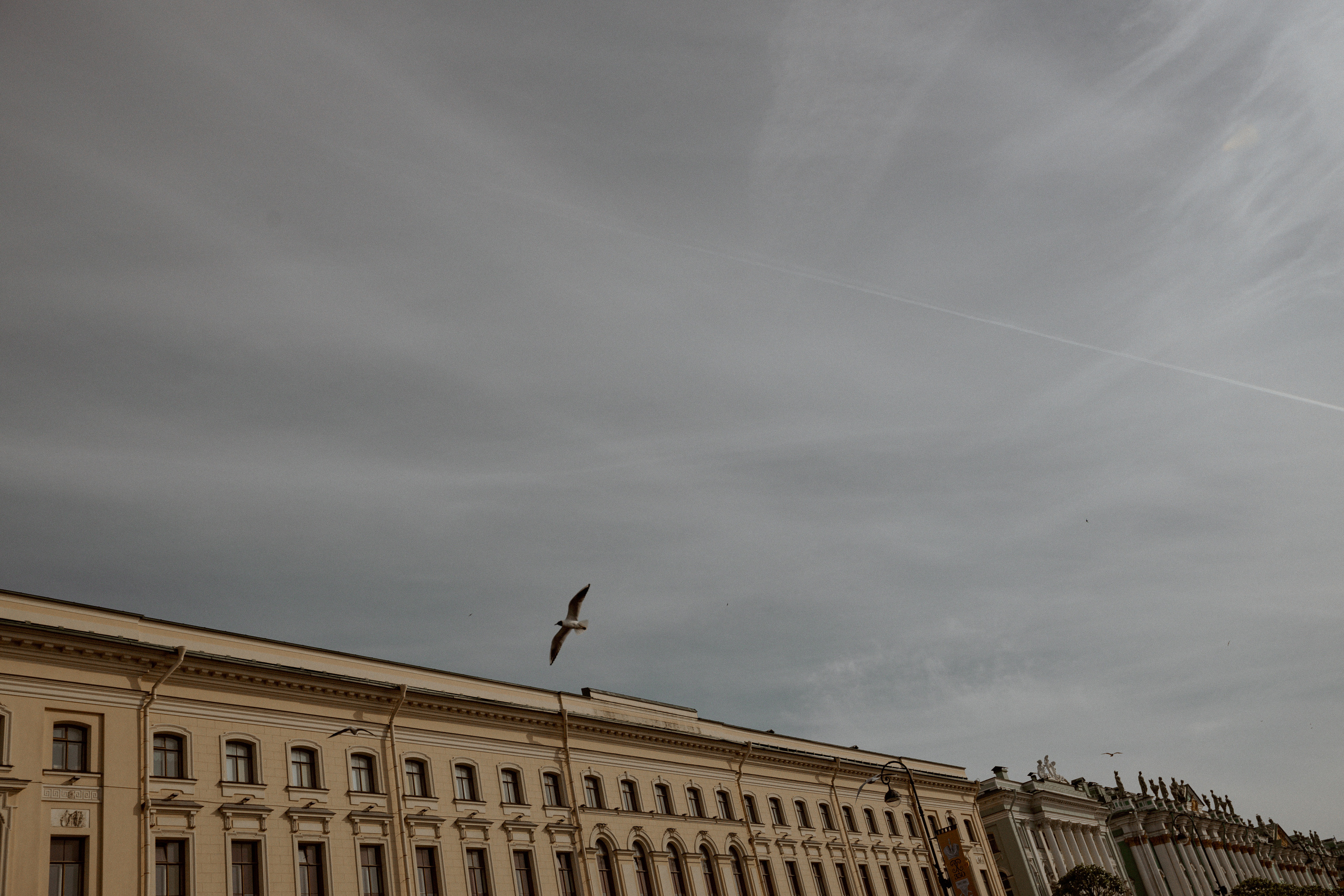 Ксения & Сергей. Свадебный фотограф Таня Караисаева