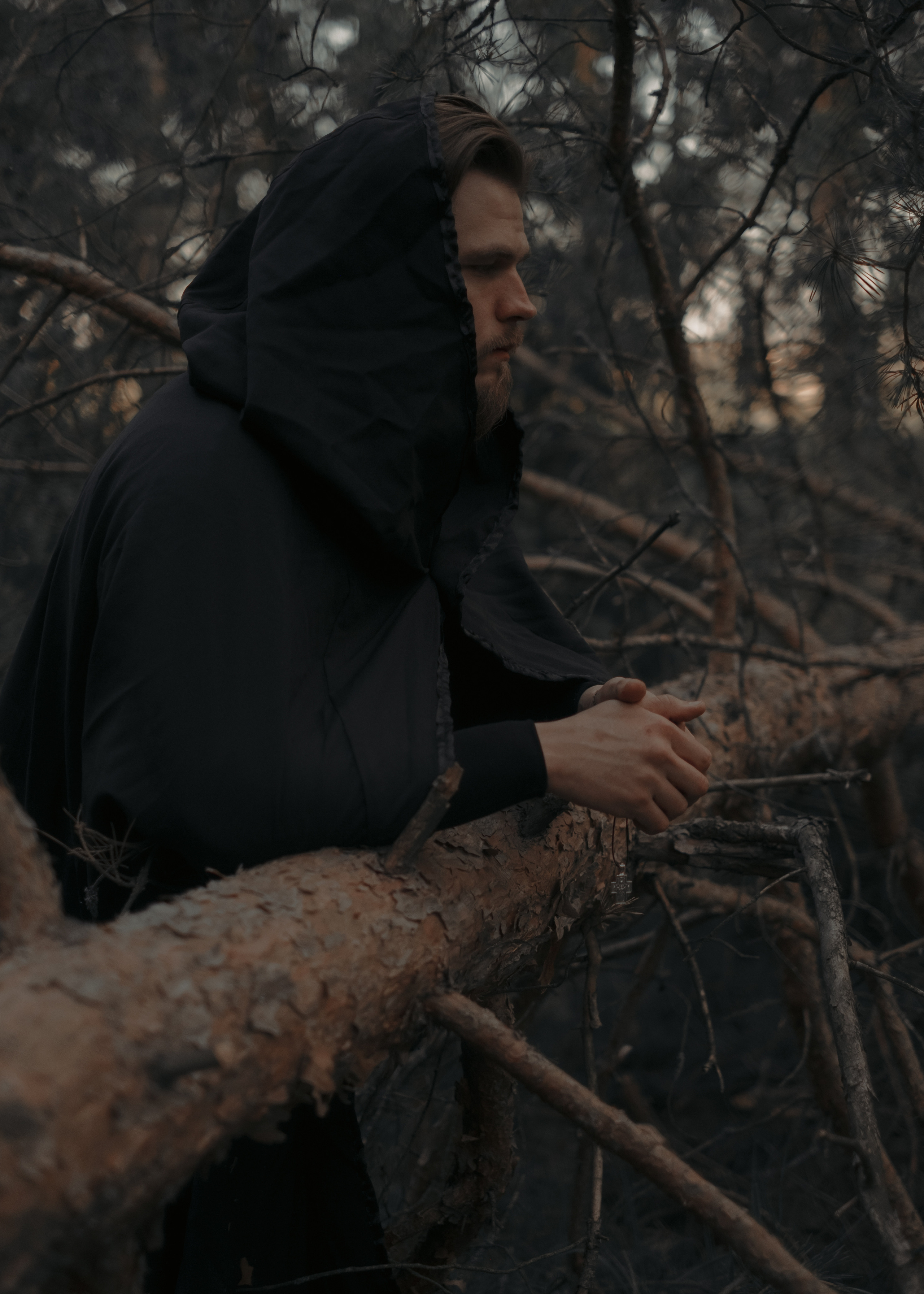 «…чем владеете, цените ли?». Фотограф (Москва, Мытищи)— Комова Анастасия