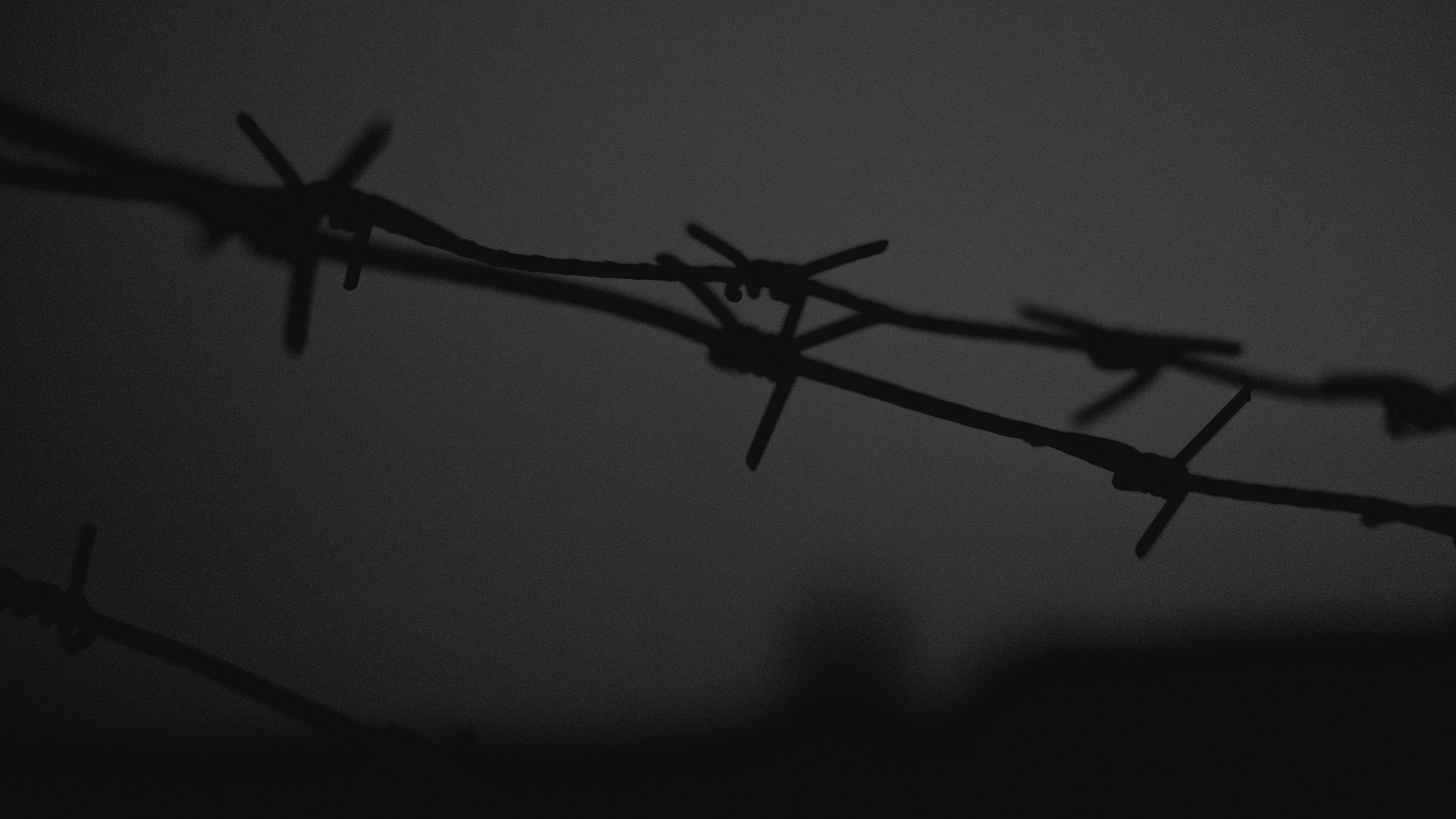 «…чем владеете, цените ли?». Фотограф (Москва, Мытищи)— Комова Анастасия