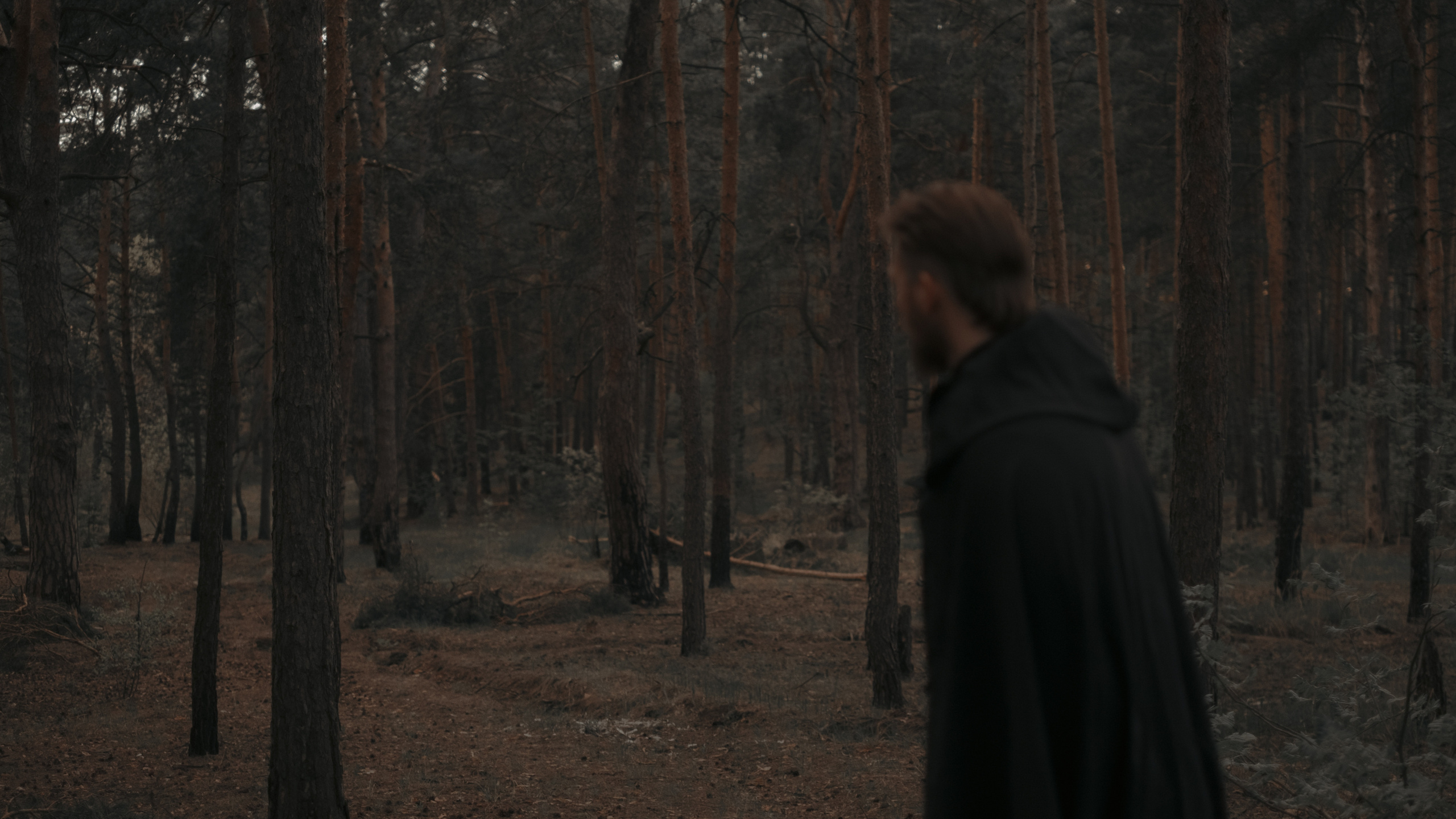 «…чем владеете, цените ли?». Фотограф (Москва, Мытищи)— Комова Анастасия