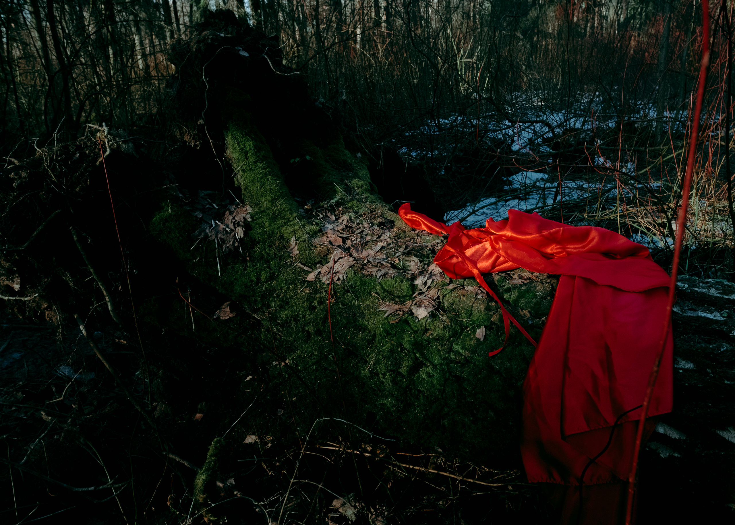 У каждого свой собственный путь (Часть 1). Фотограф (Москва, Мытищи)— Комова Анастасия