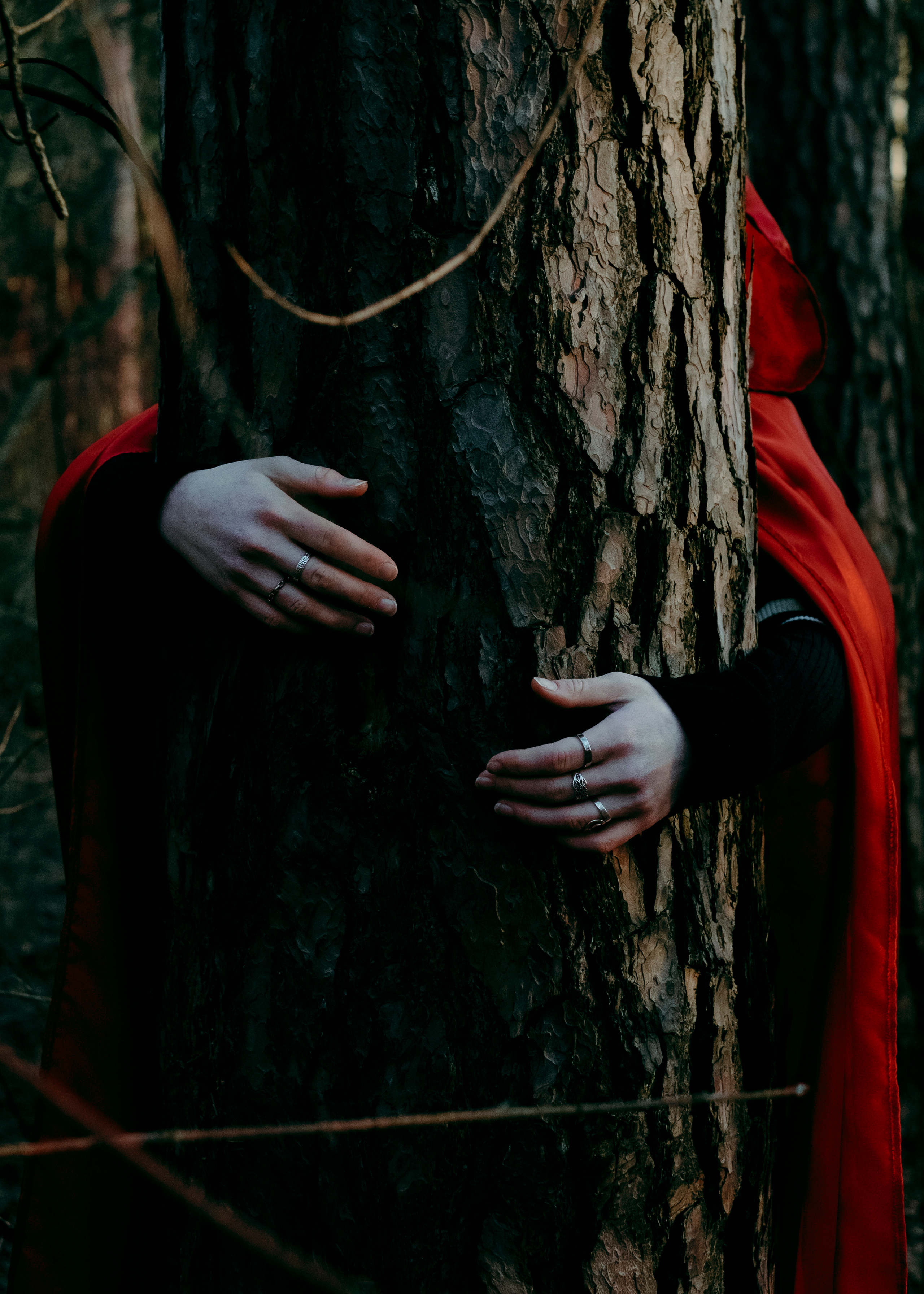 У каждого свой собственный путь (Часть 1). Фотограф (Москва, Мытищи)— Комова Анастасия