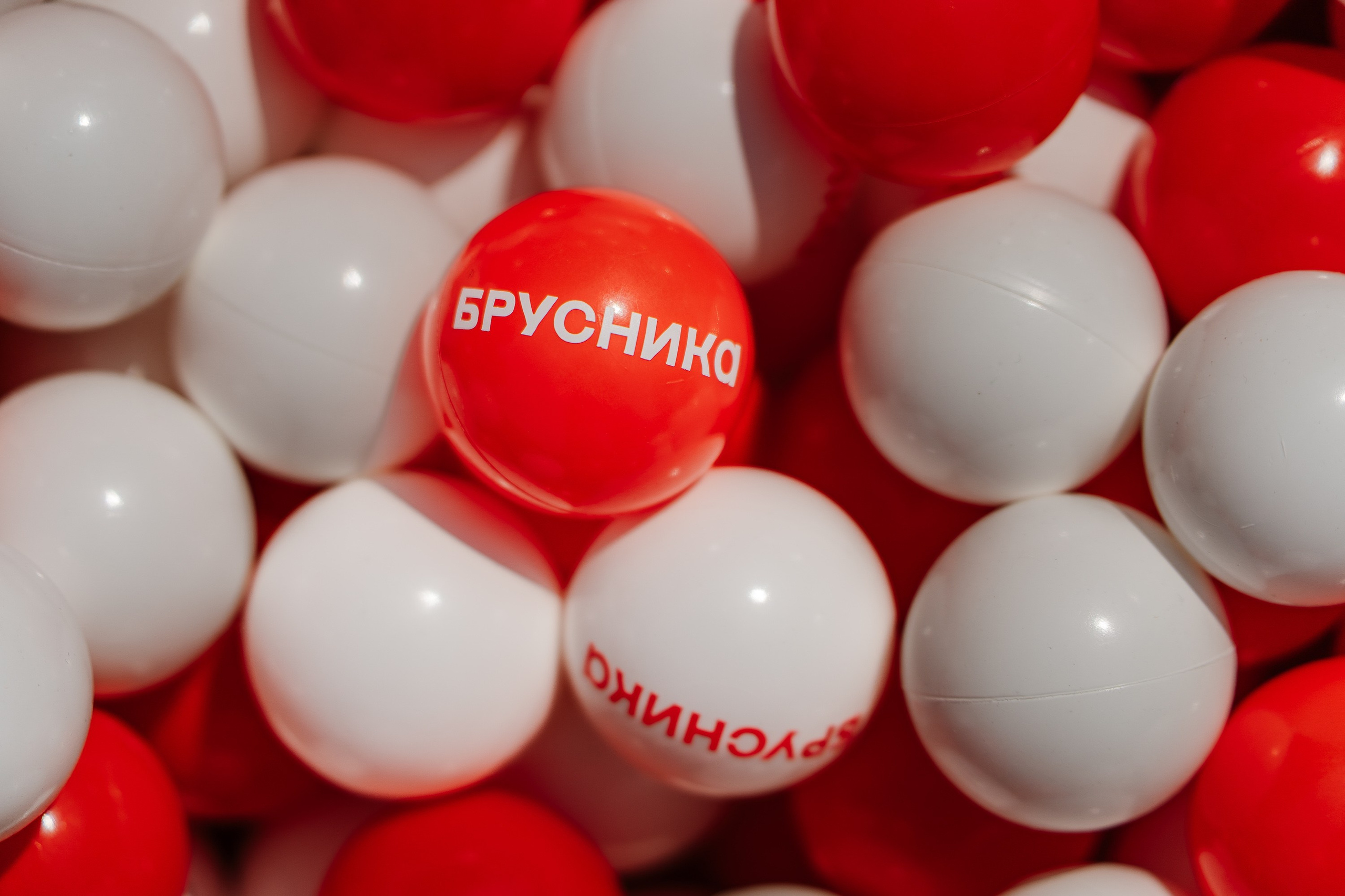 Летосфера. Фотограф Новосибирск I Дамдинов Бато