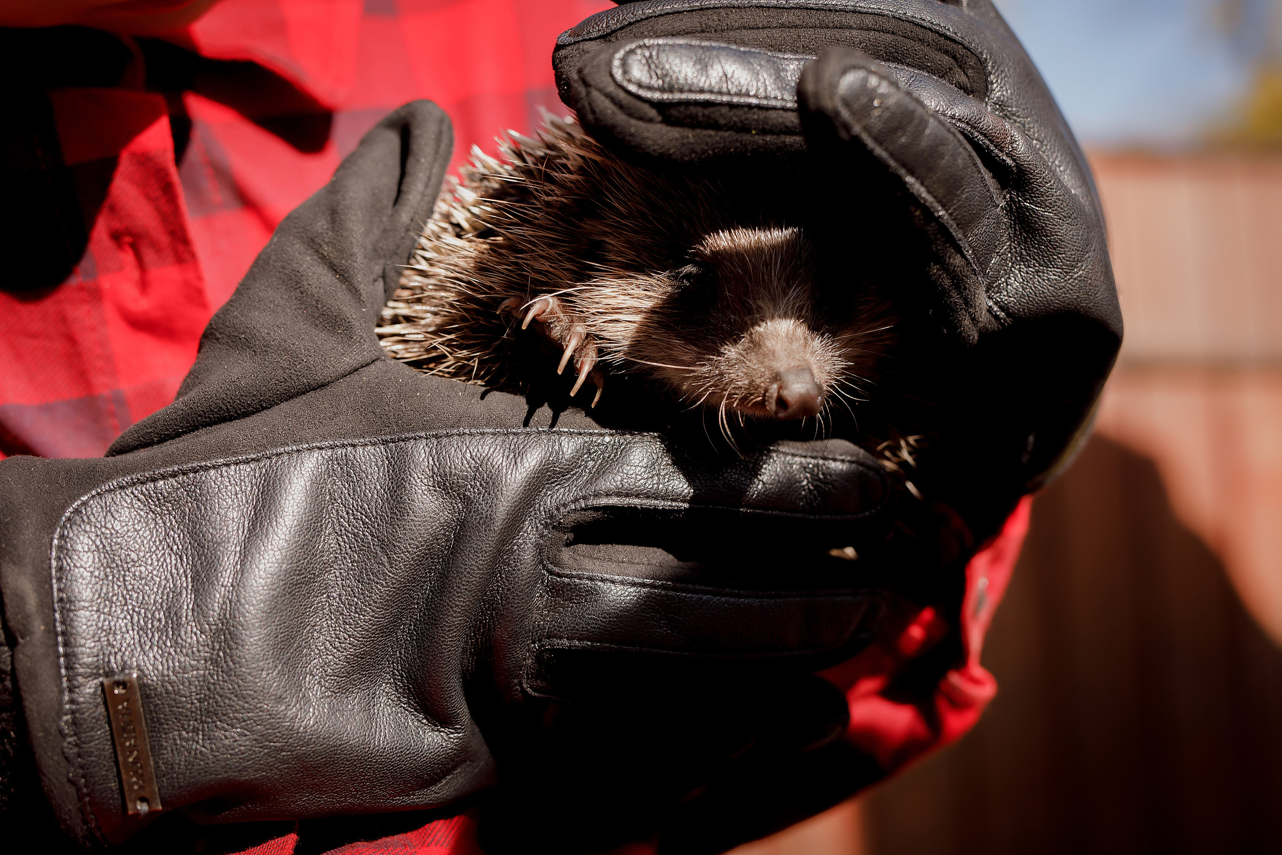 5 «В» Гимназия города Артёма. Photoalbum-vl.ru