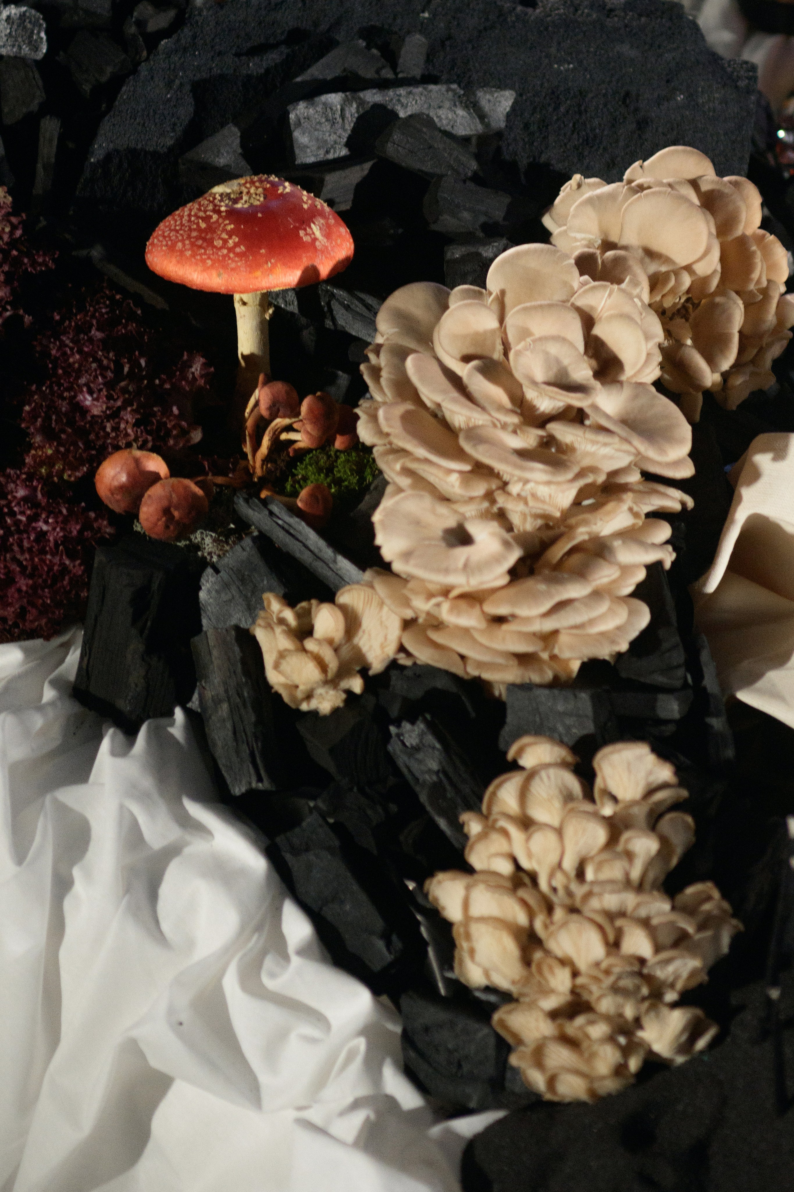 Decor by Favorite catering. Свадебный фотограф в Минске