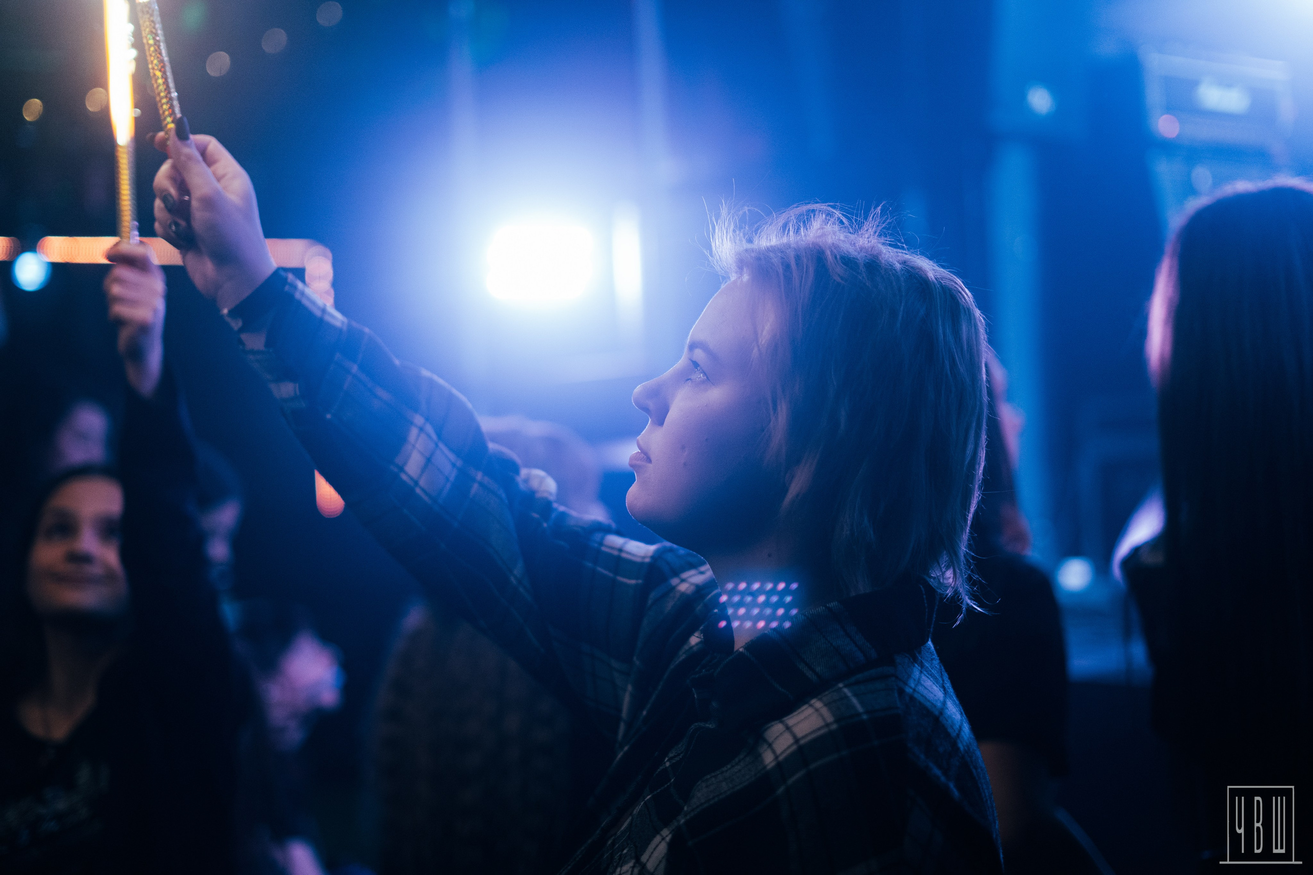 ШардаМ, 04.11.2025, Ласточка. Человек в Шляпе