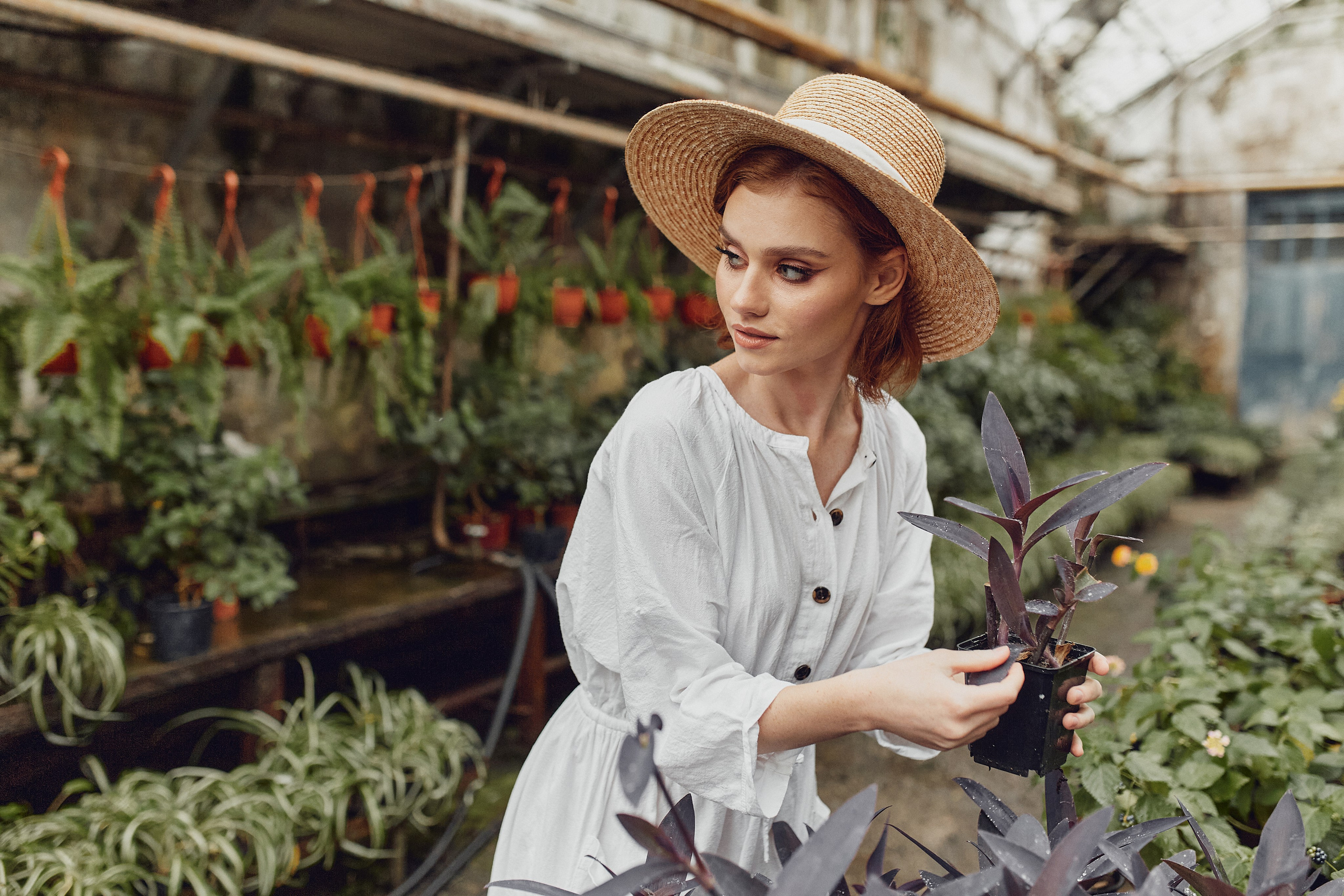 Старая оранжерея