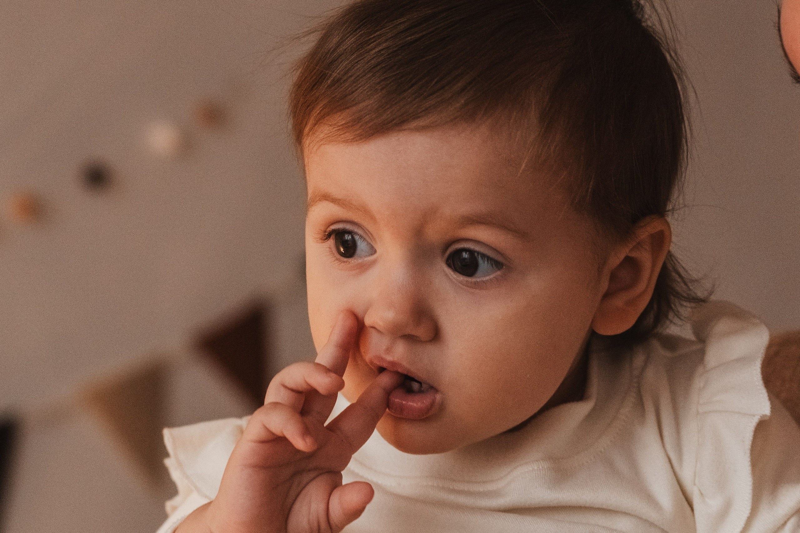 Студийная серия Новый Год. Alenasokolowa.ru