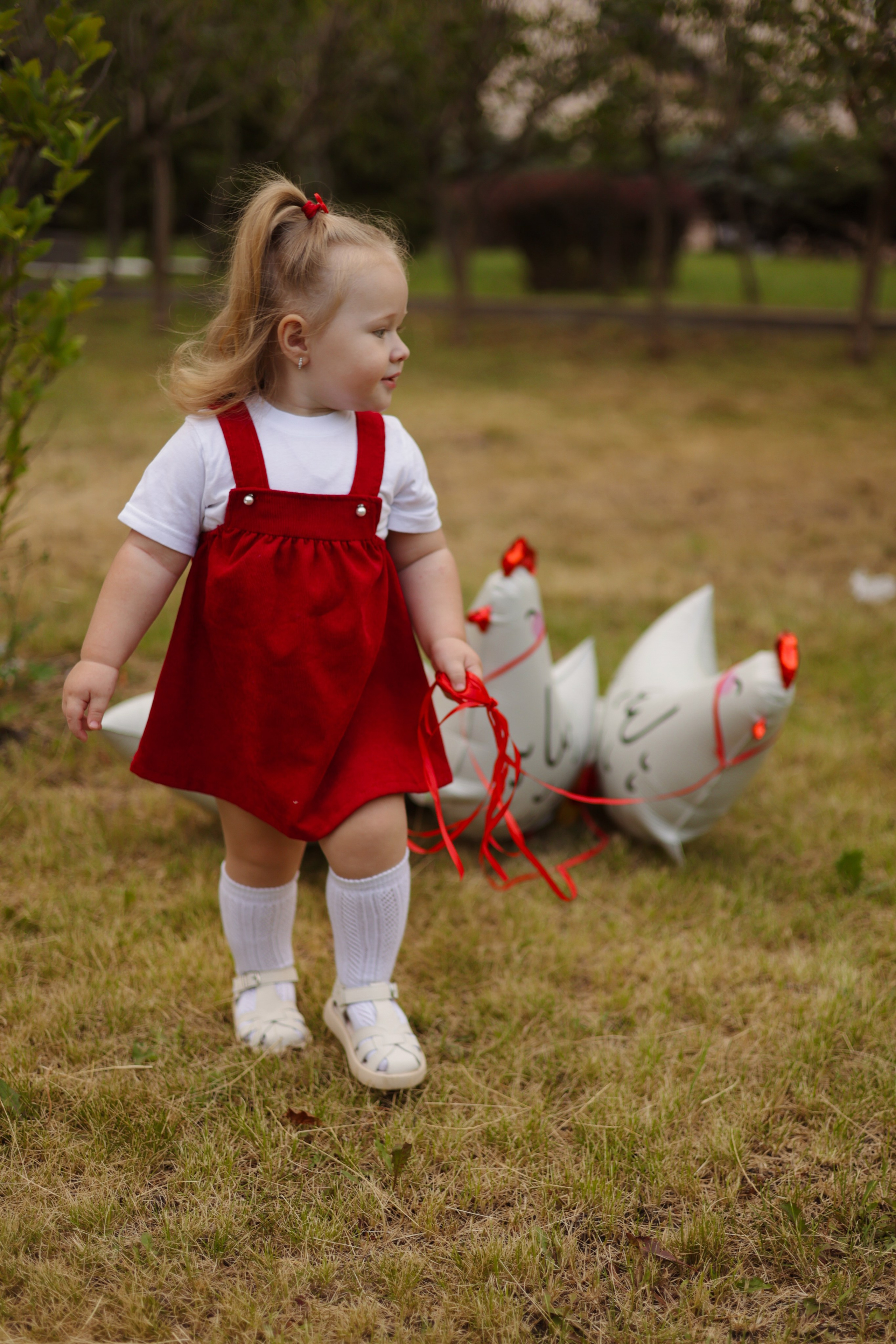 Одним летним днем …🐓. Фотограф Донецк Александра Юрку
