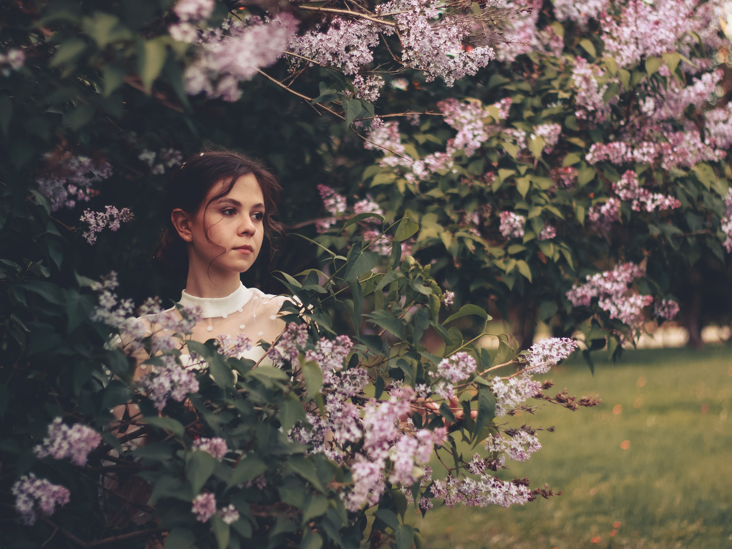 Фото: молодая девушка среди цветущей сирени, воплощение весенней красоты