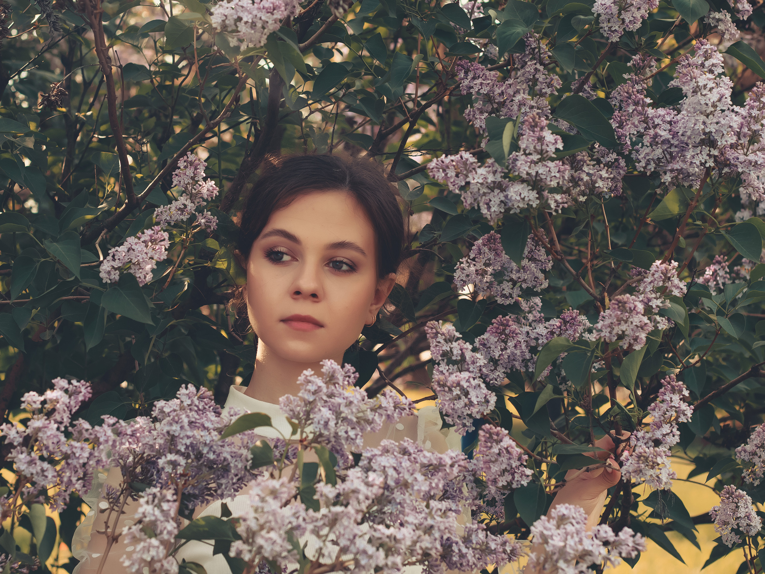 "Фото: девушка среди серени, призывающая вас насладиться весенней красотой и романтикой