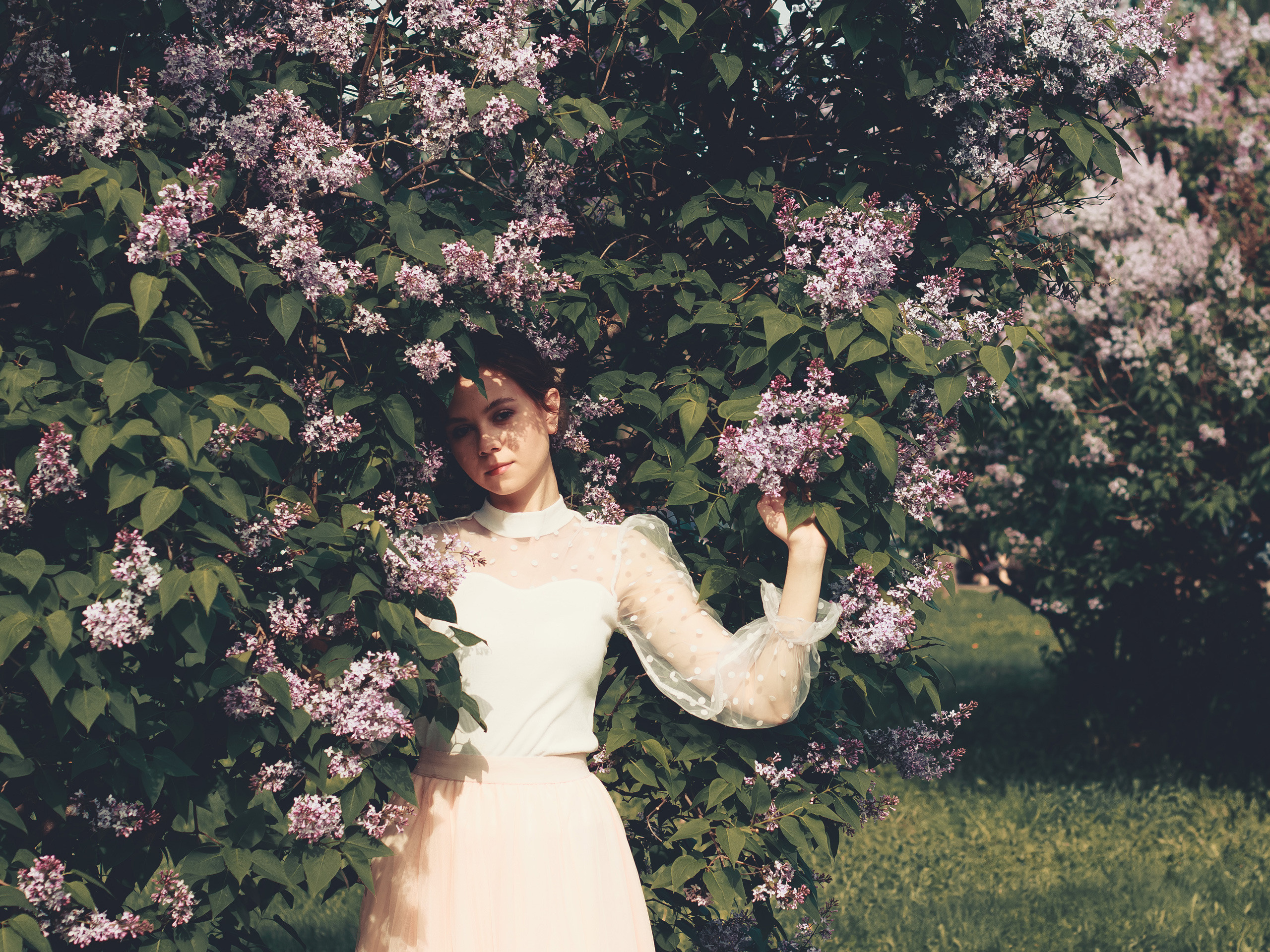 Загадочная весна: фото молодой девушки в сереневом цветочном саду, олицетворяющее весеннюю чарующую атмосферу
