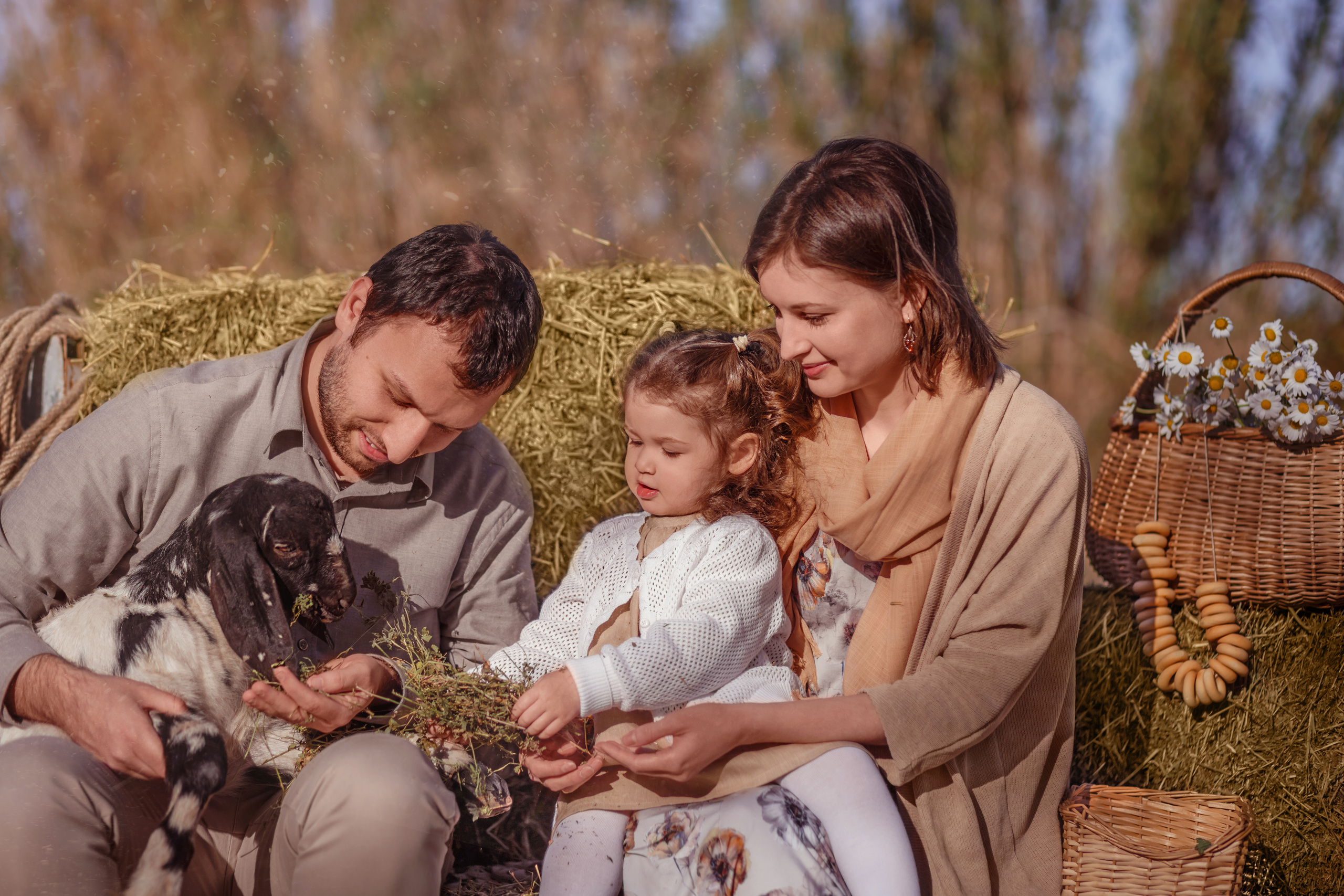 once upon a farm