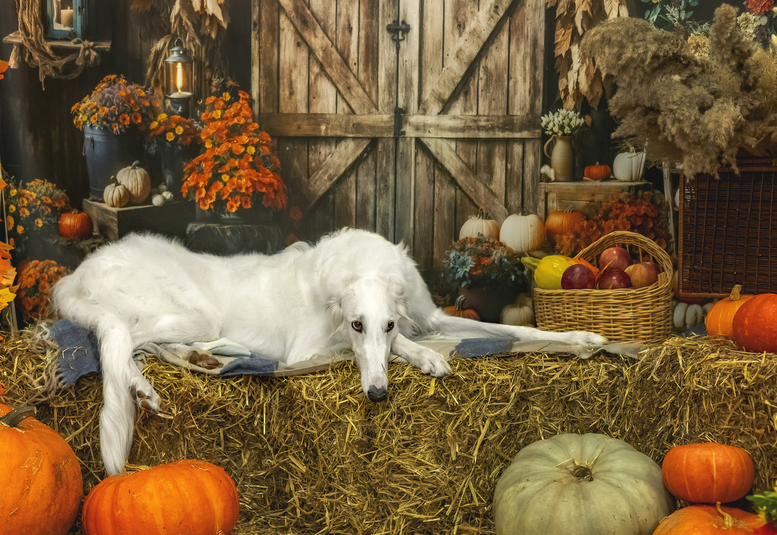 Слава и Ольга. Https://moshkovaphoto.ru/