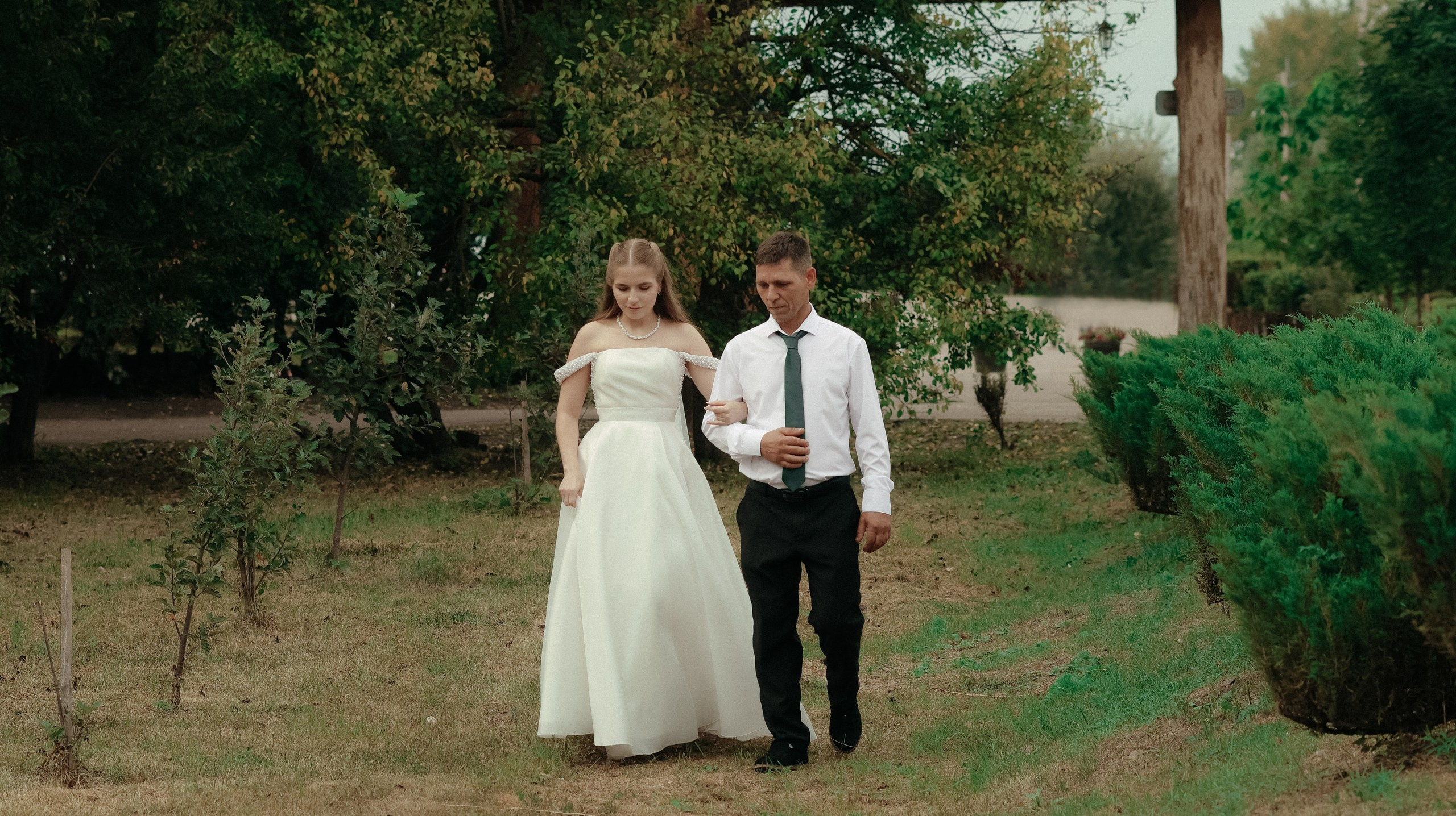 Торжество в Алексеевке. Свадебный и репортажный фотограф Дмитрий Кононенко