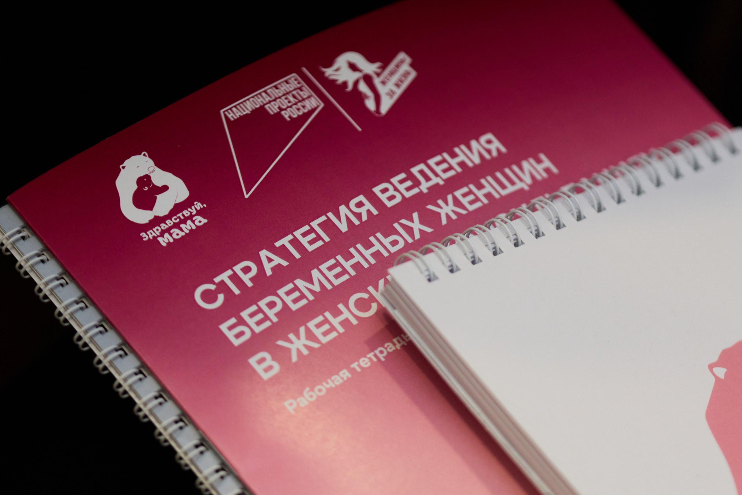 Тренинг-семминар «Здравствуй Мама». Свадебный и репортажный фотограф Дмитрий Кононенко