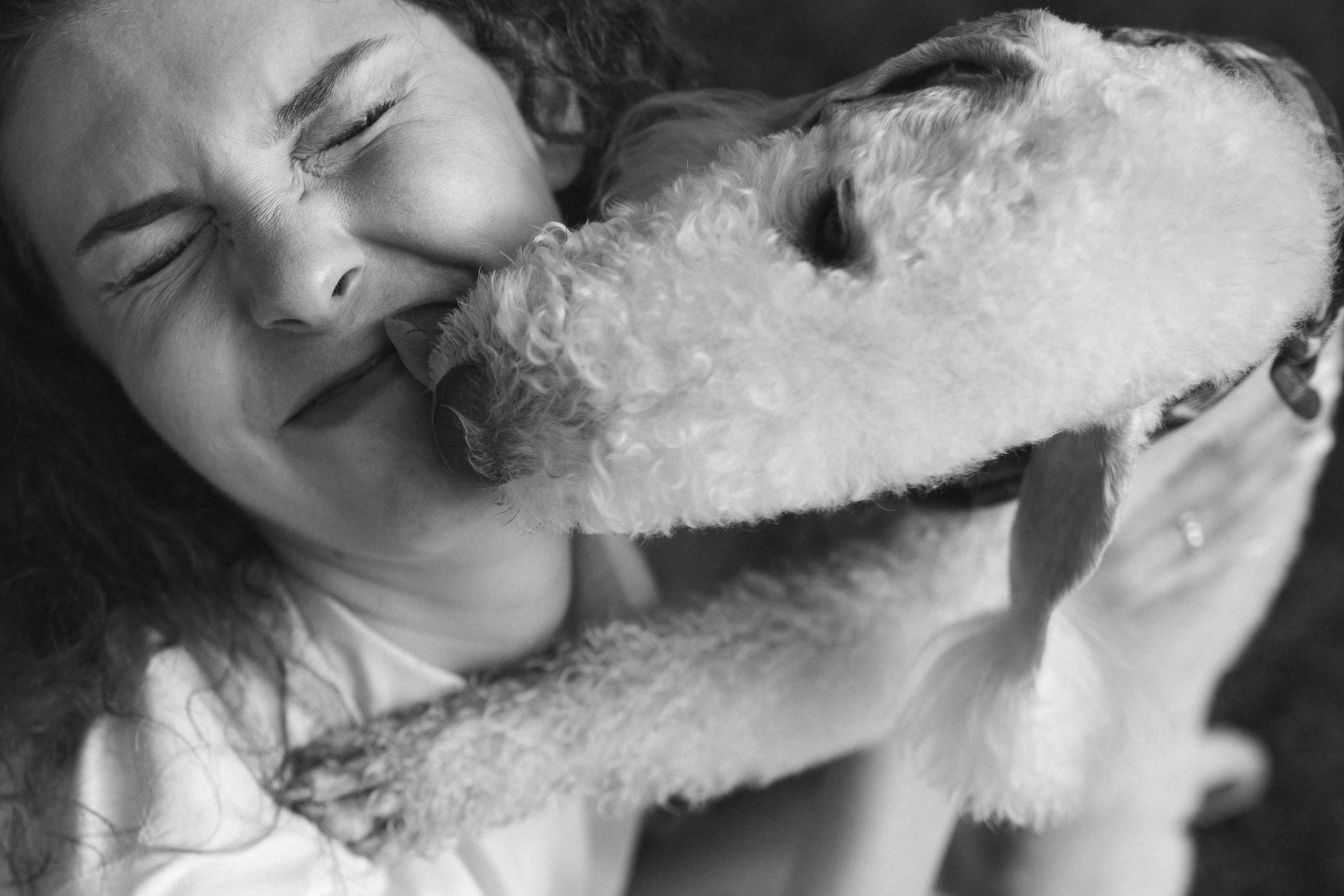 Лиза и Каспер. Фотограф анималист в Москве Ольга Агушева