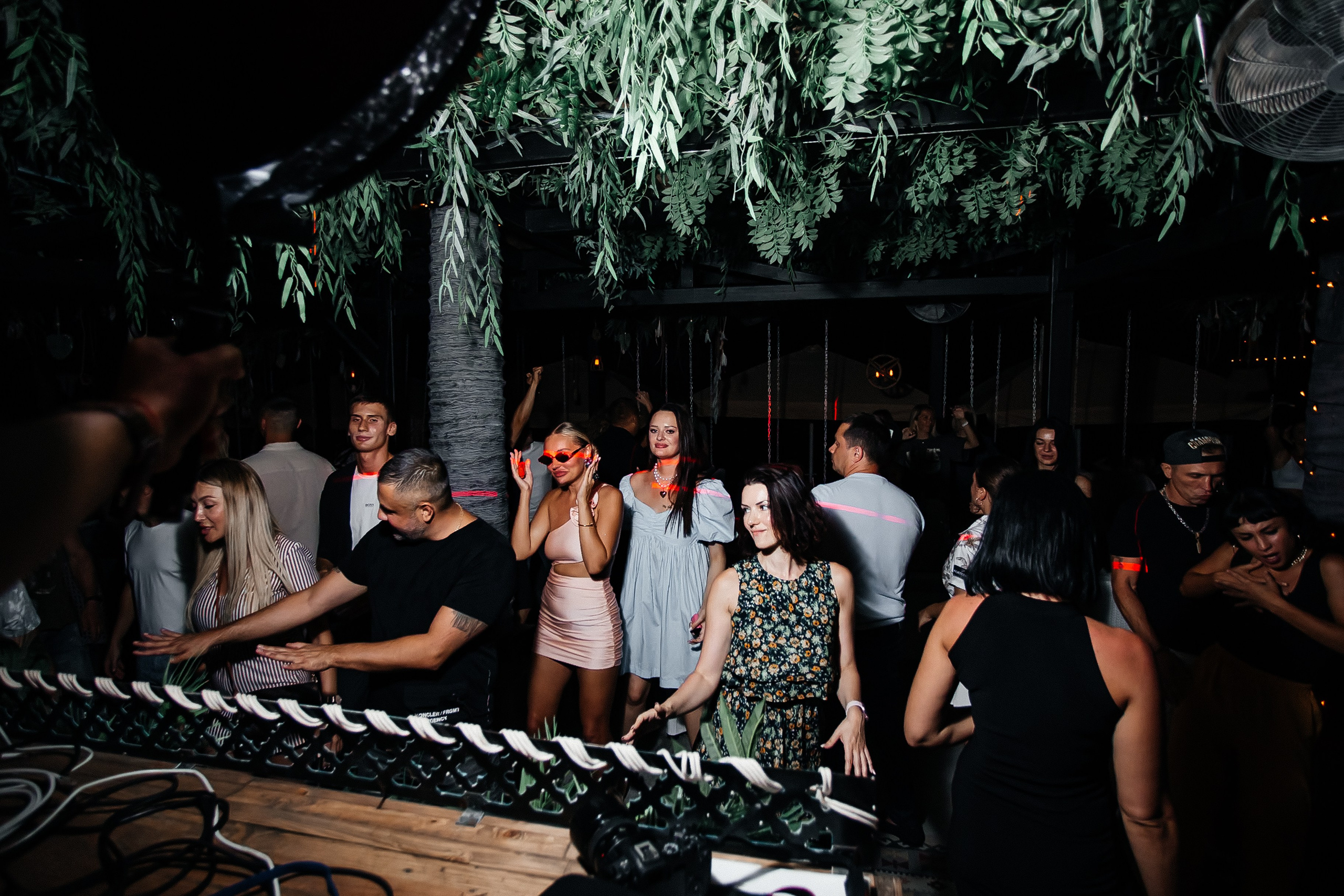 Чайка_на_пляже_Ялта_25.07.2024. Аминов Руслан | Фотограф