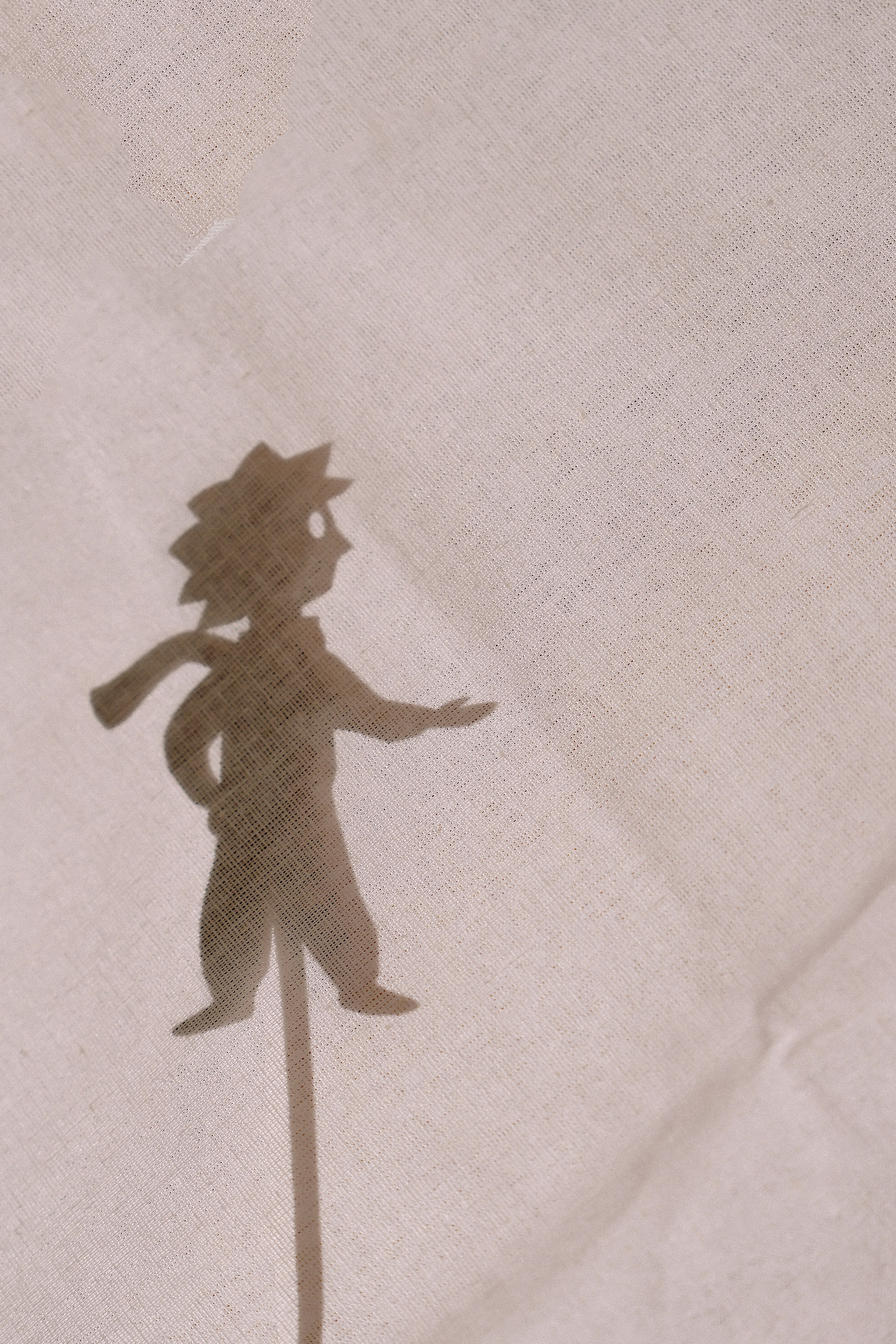 Фотопроект тень. Детский, семейный фотограф: newborn, беременность, годовасие, репортаж. Москва