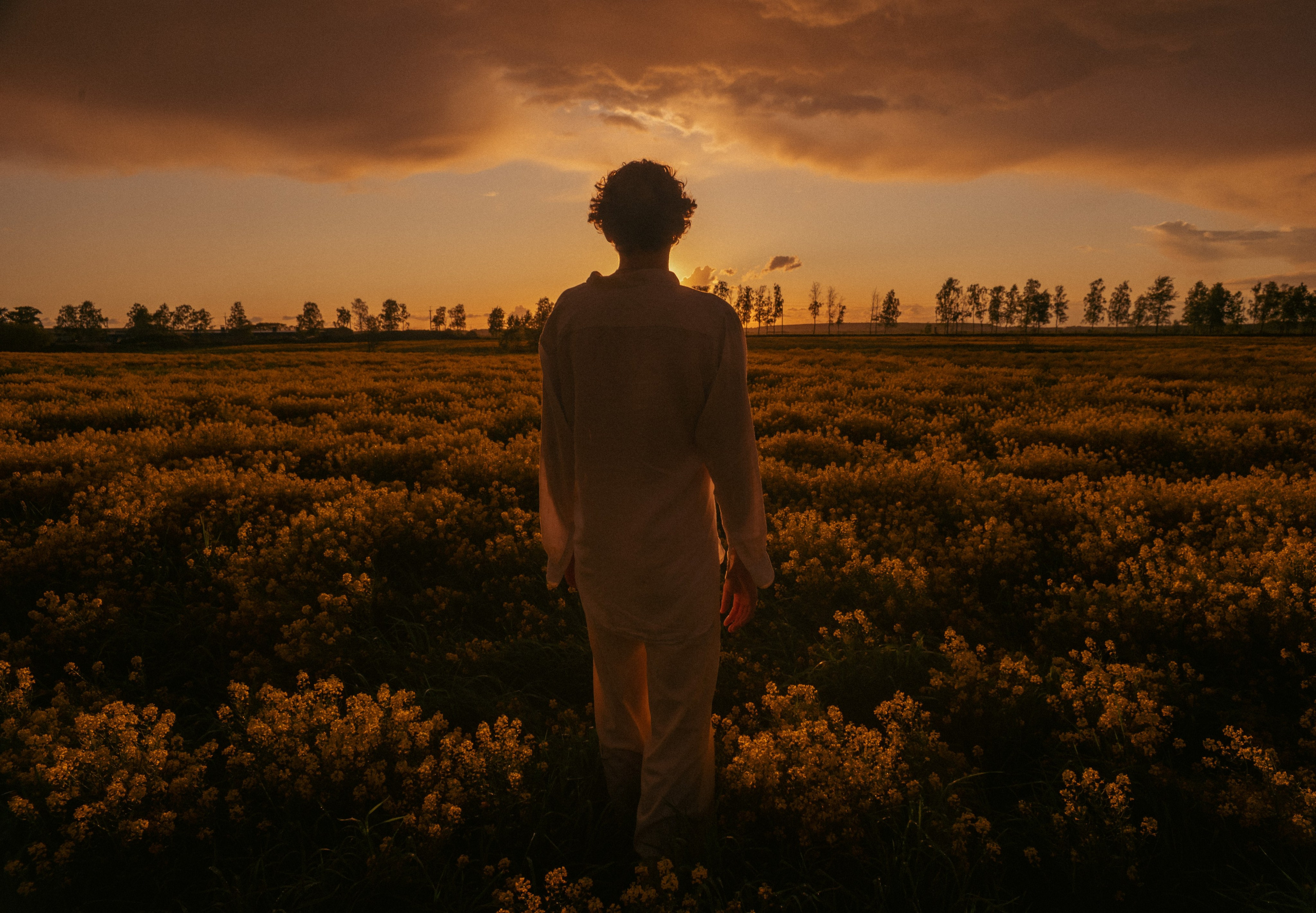 Beyond the line (colour). Metelevphoto