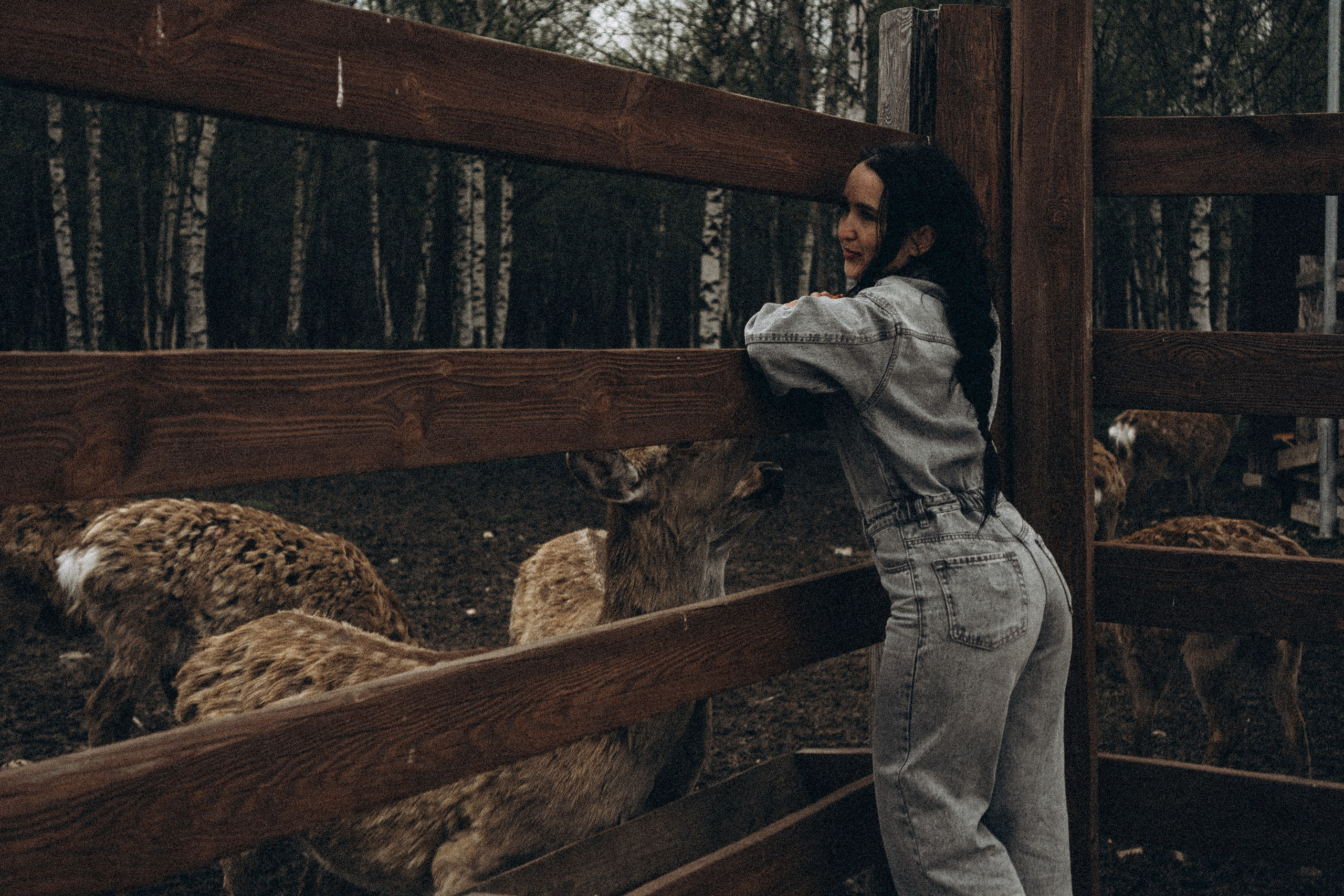 ОЛЕНЬЯ ФЕРМА В ТВЕРИ. Профессиональный фотограф, Санкт-Петербург — Виктория Богомолова