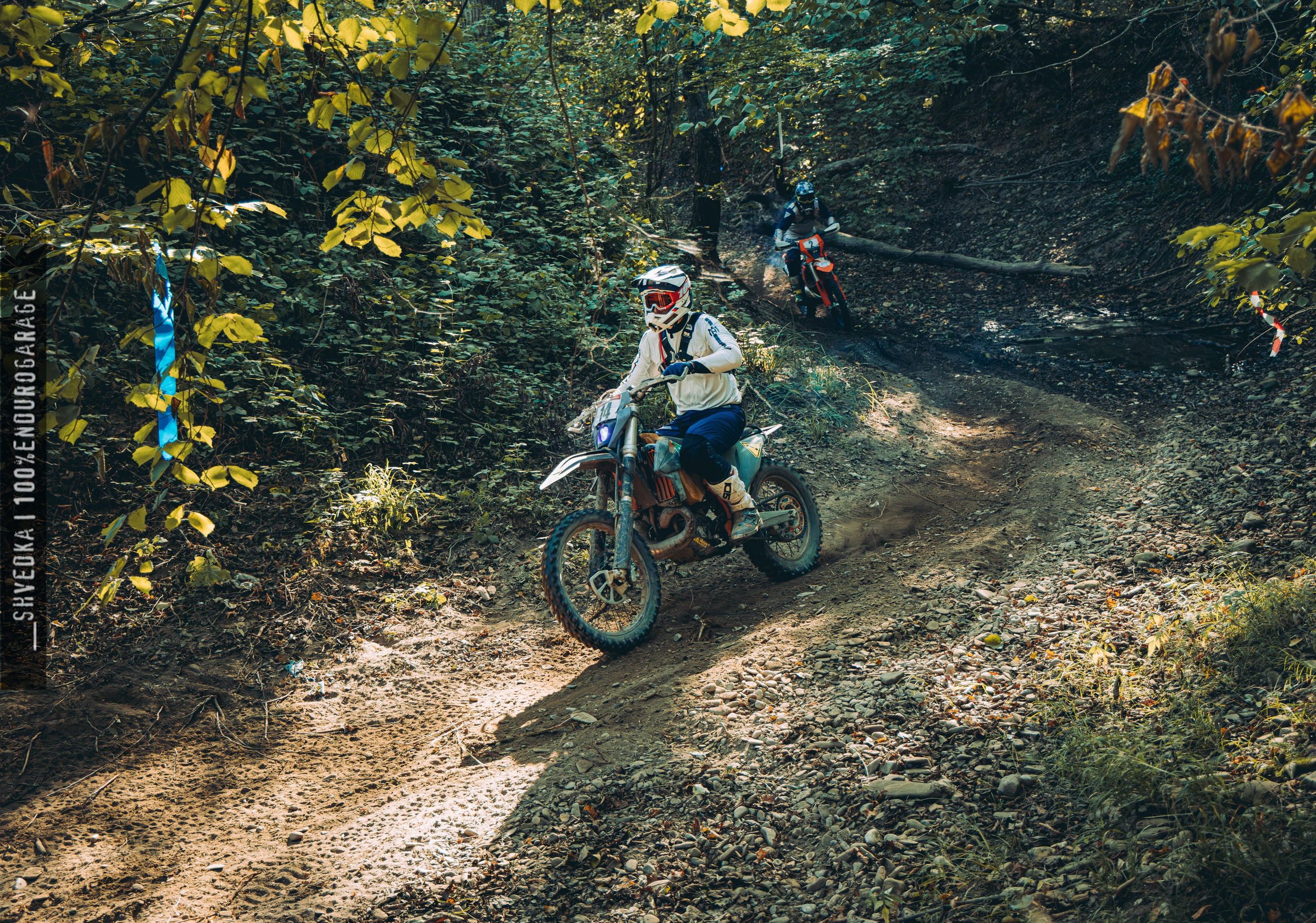 2 лесной день. Ваш экстрим фотограф Кудрева Яна