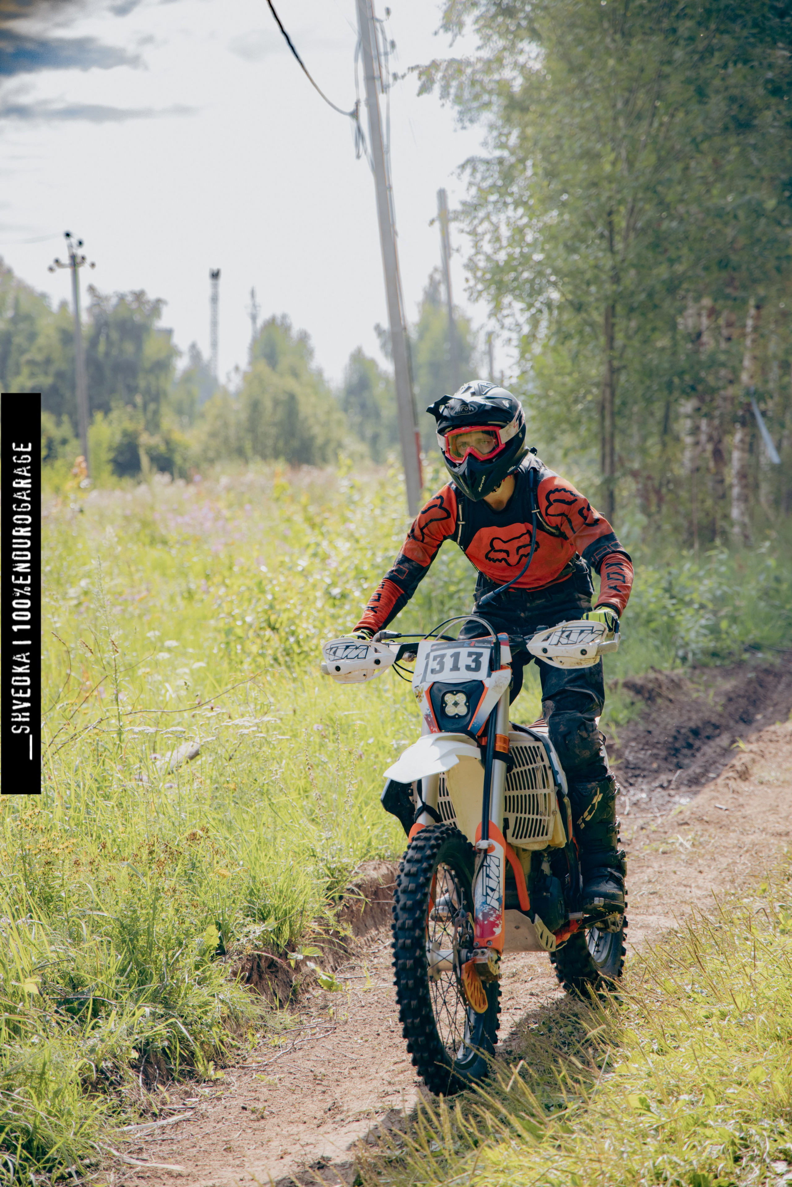 ВТОРОЙ ЛЕСНОЙ ДЕНЬ. Ваш экстрим фотограф Кудрева Яна