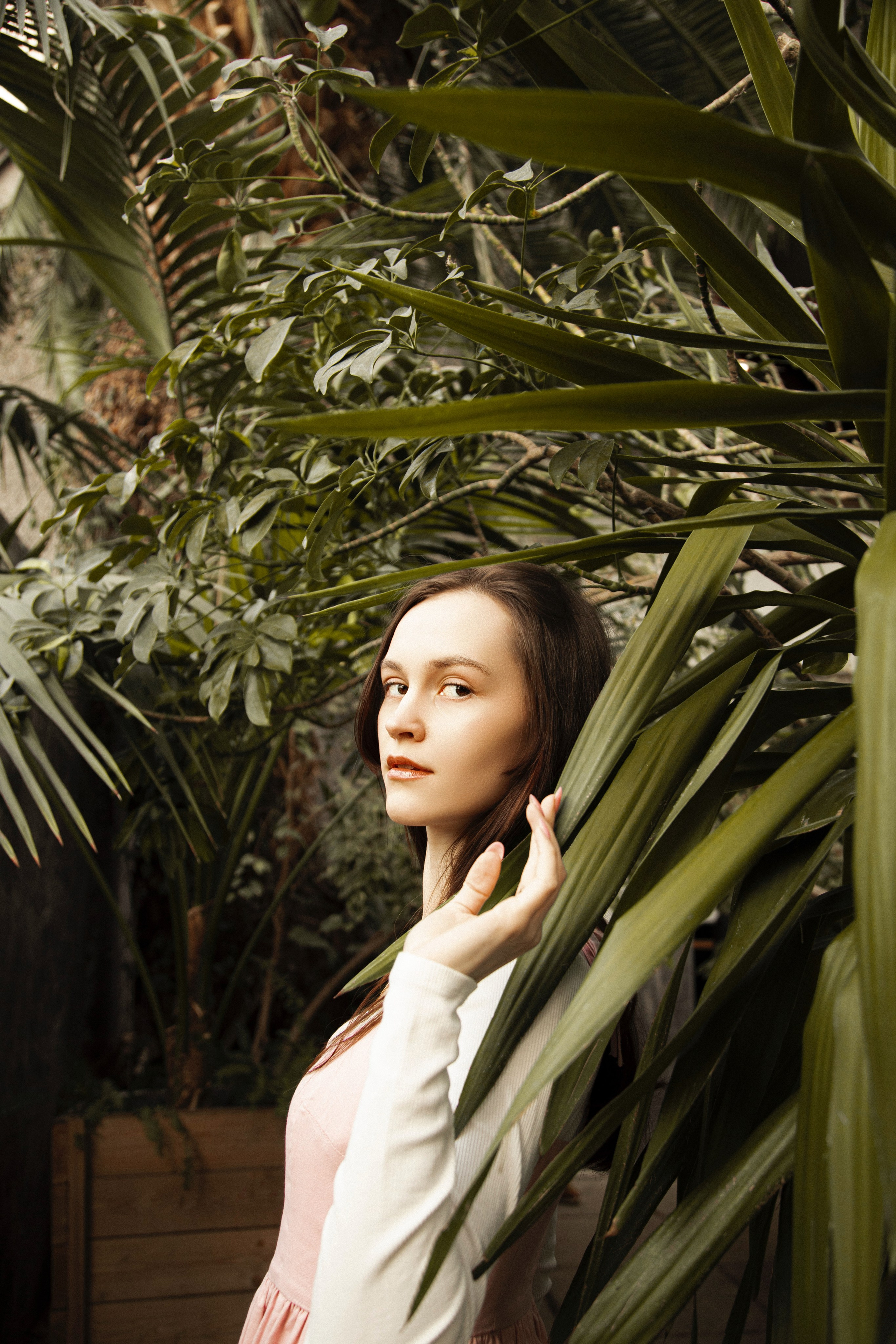 Оранжерея Таврического сада