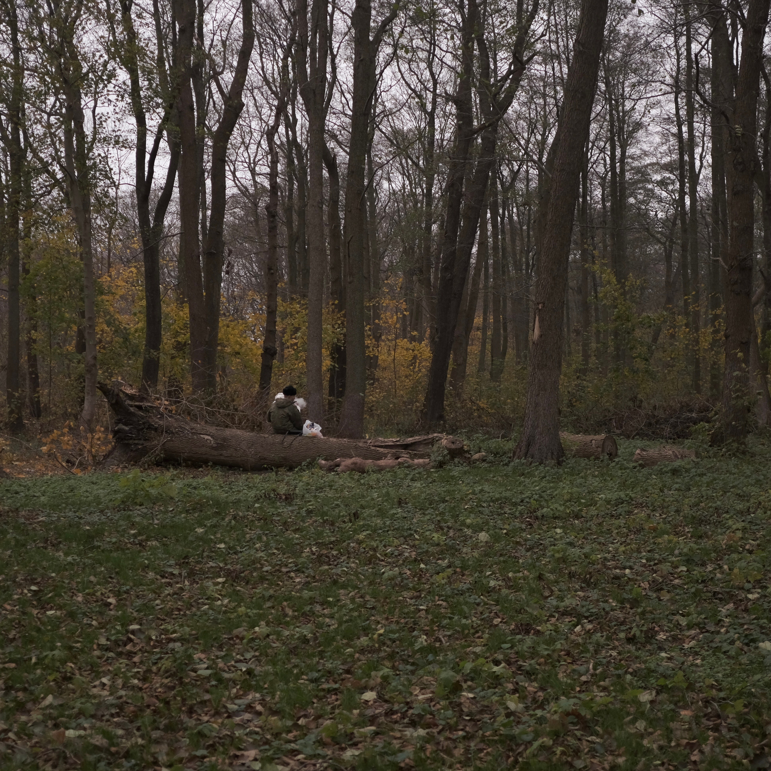 Калининград. LIYALEE PHOTO