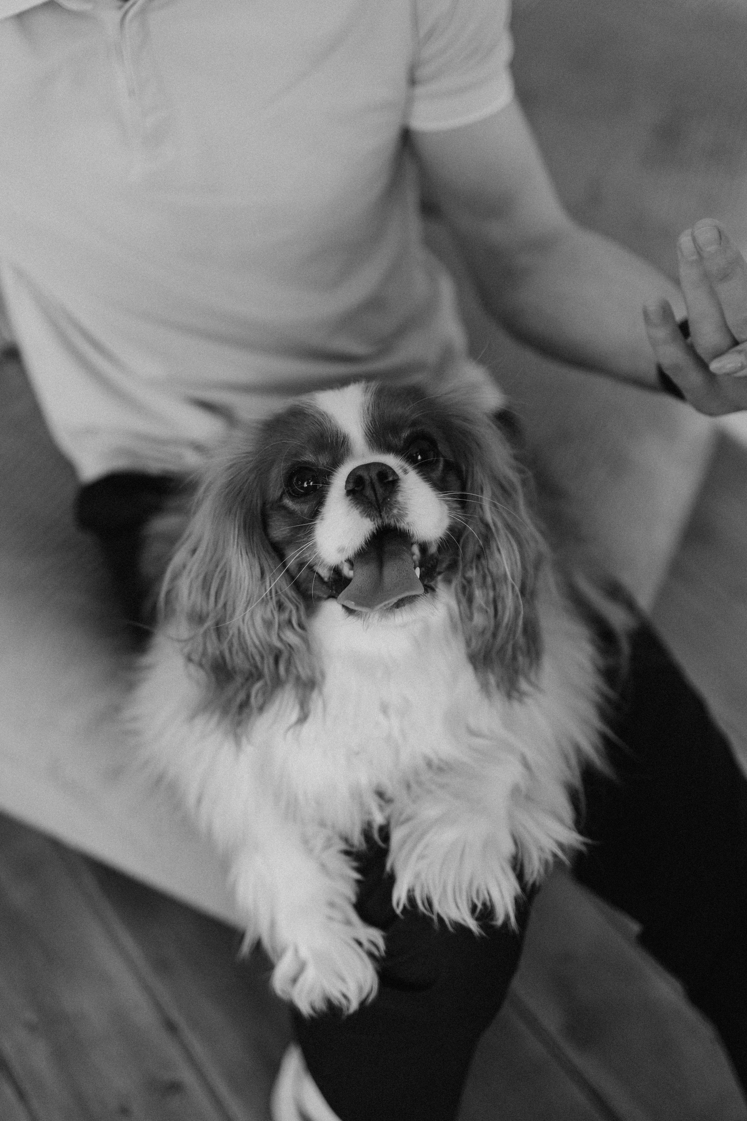 Шерри и ее семья. Фотограф — Анималист | Санкт-Петербург