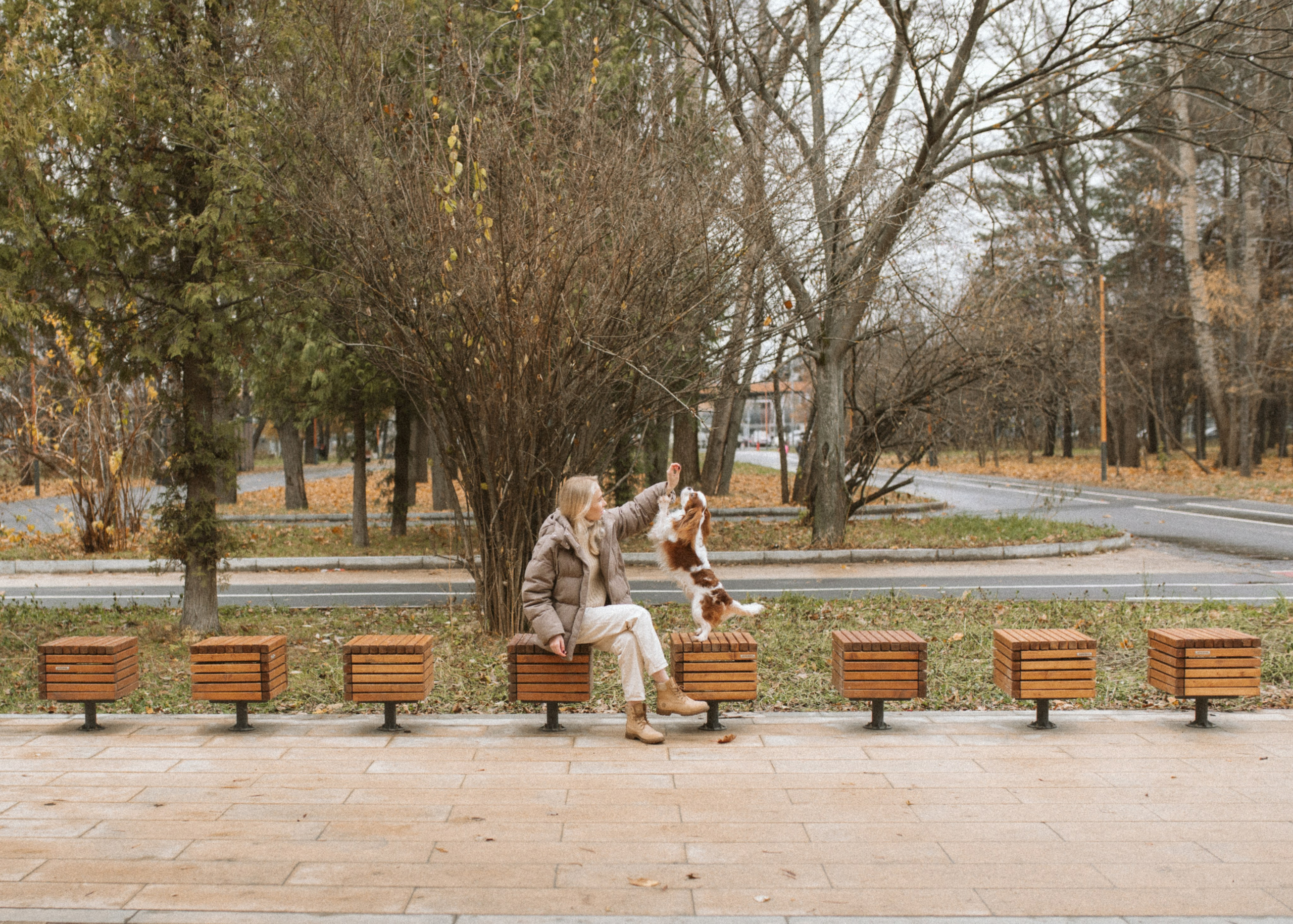 Настя и Тэйлор. Фотограф анималист в Москве Ольга Агушева