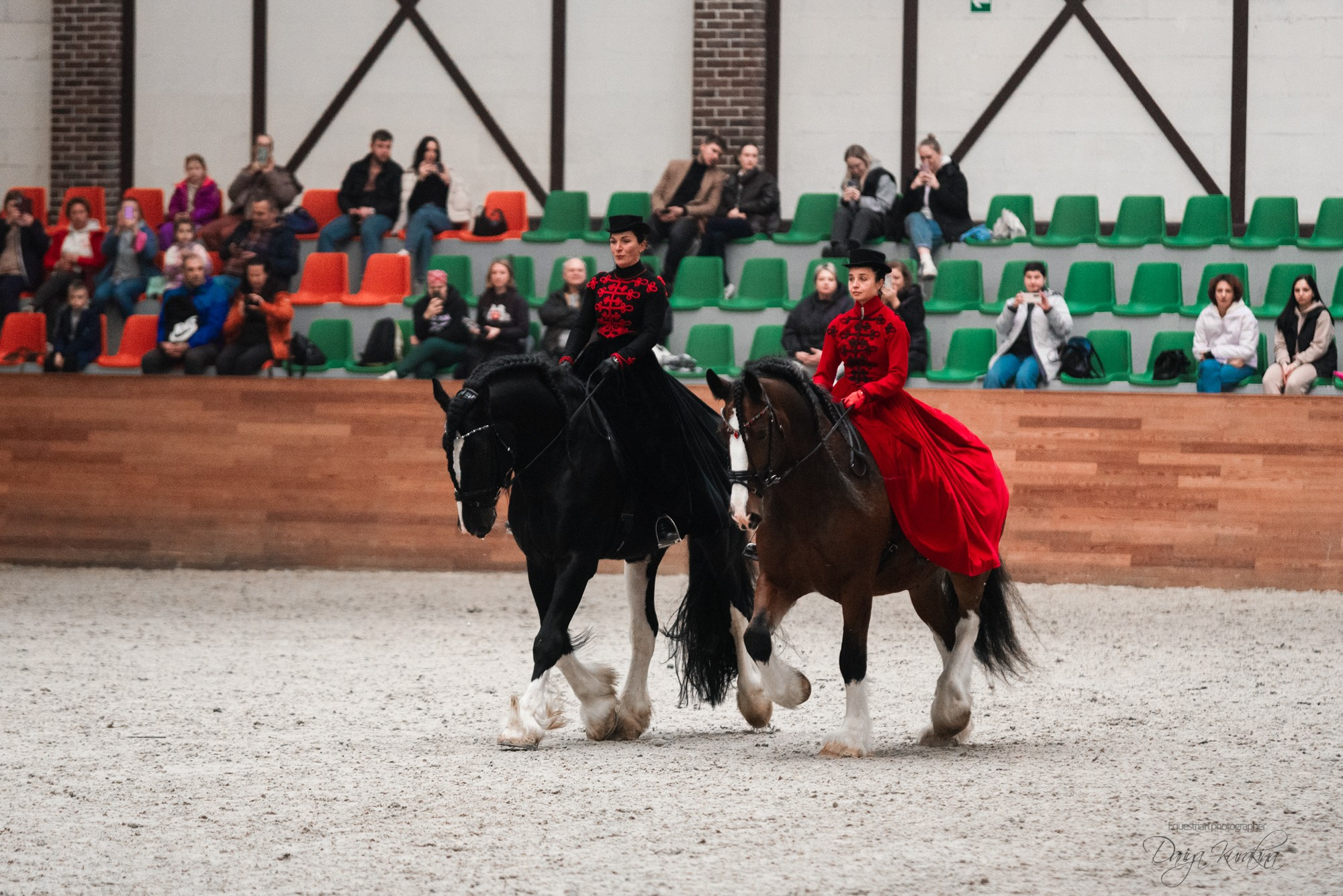8-я международная выставка Конная Россия. Конный фотограф Куракина Дарья • Фотосессии с лошадьми