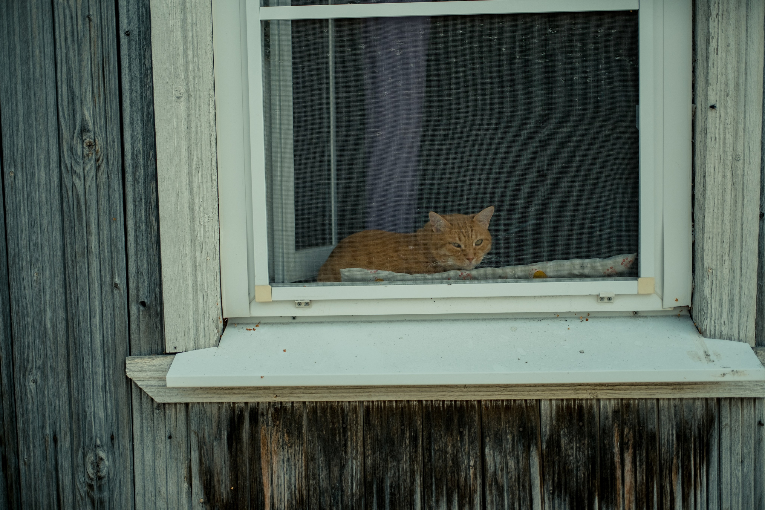 Фотографии Каргополя и красивые виды Русского Севера. Портретный, репортажный и пейзажный фотограф в Москве Сергей Арест
