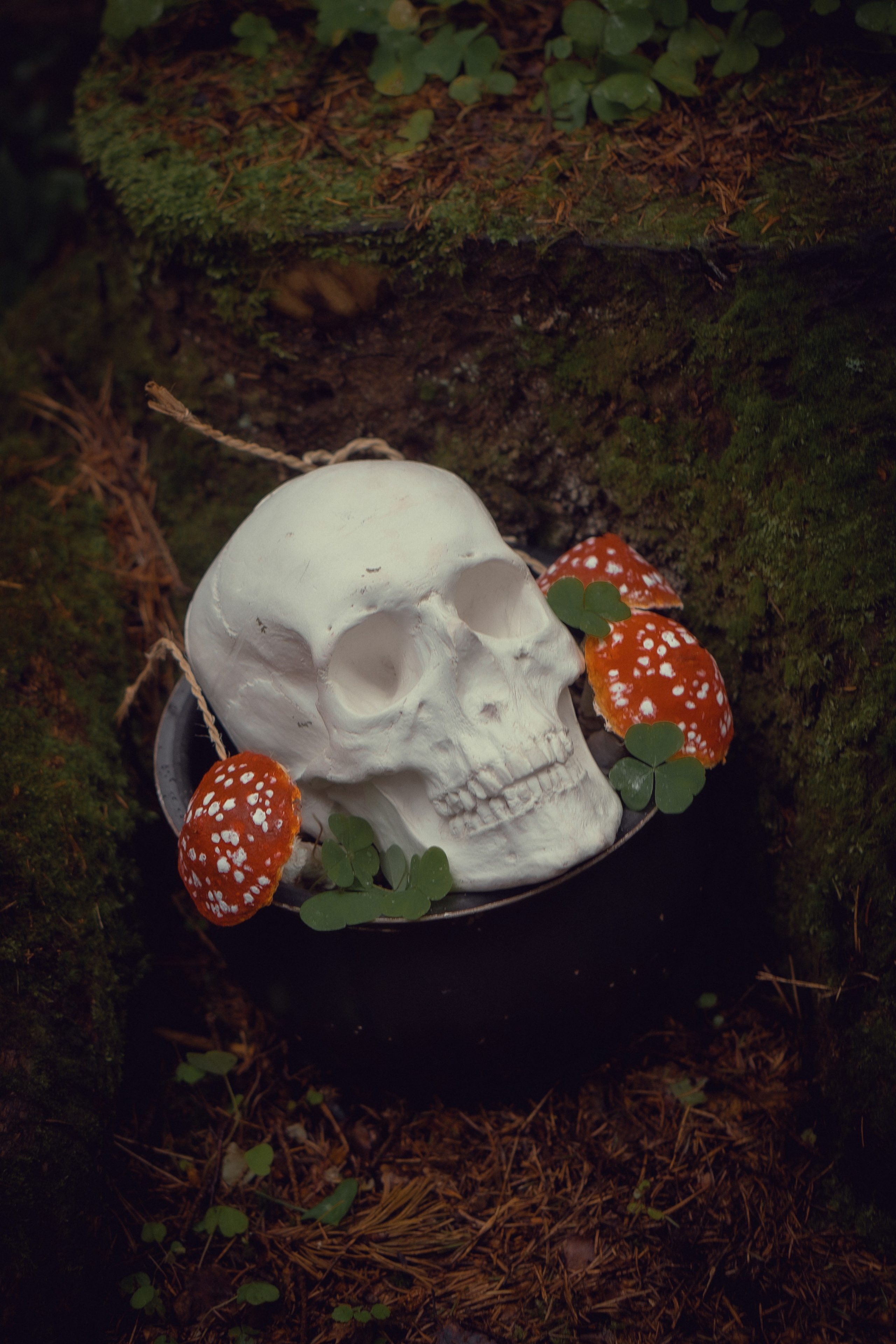 Баба-Яга. Художественный фотограф Салаева Алина