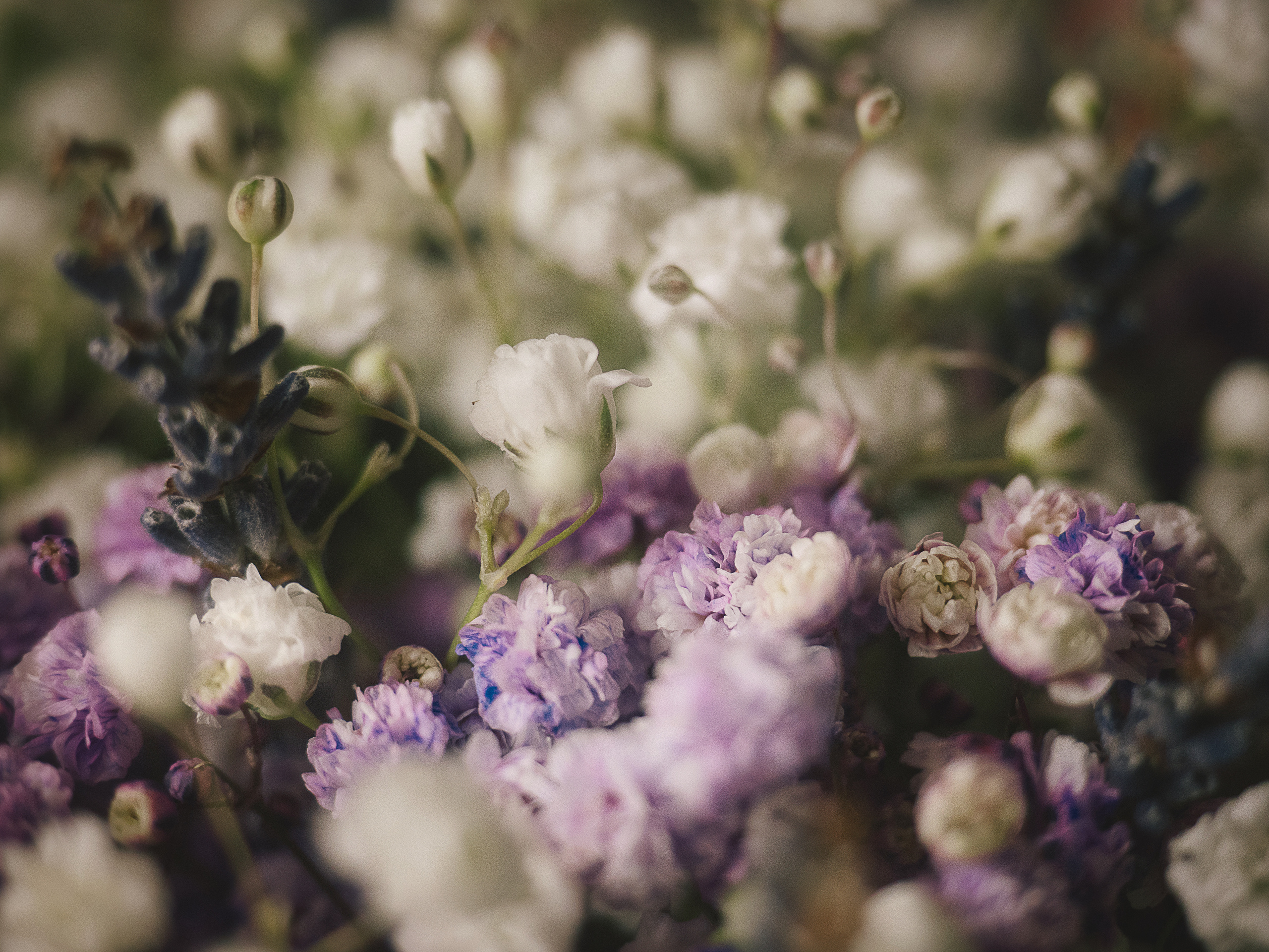 Утро невесты в отеле. Алёна Орлова Портретный фотограф Москва