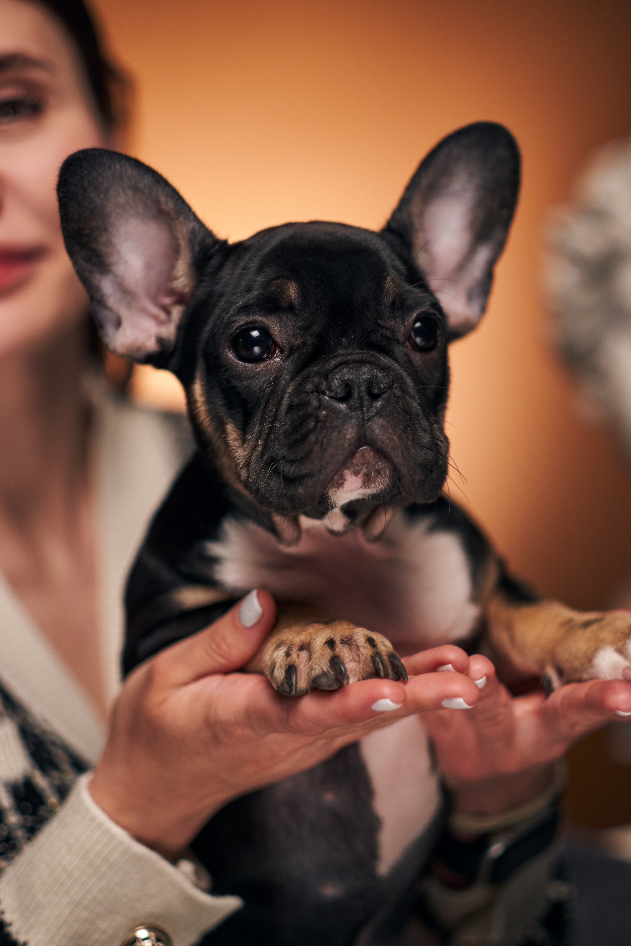 Фотосессия для собак. Фотограф в Самаре | Варя Борисова