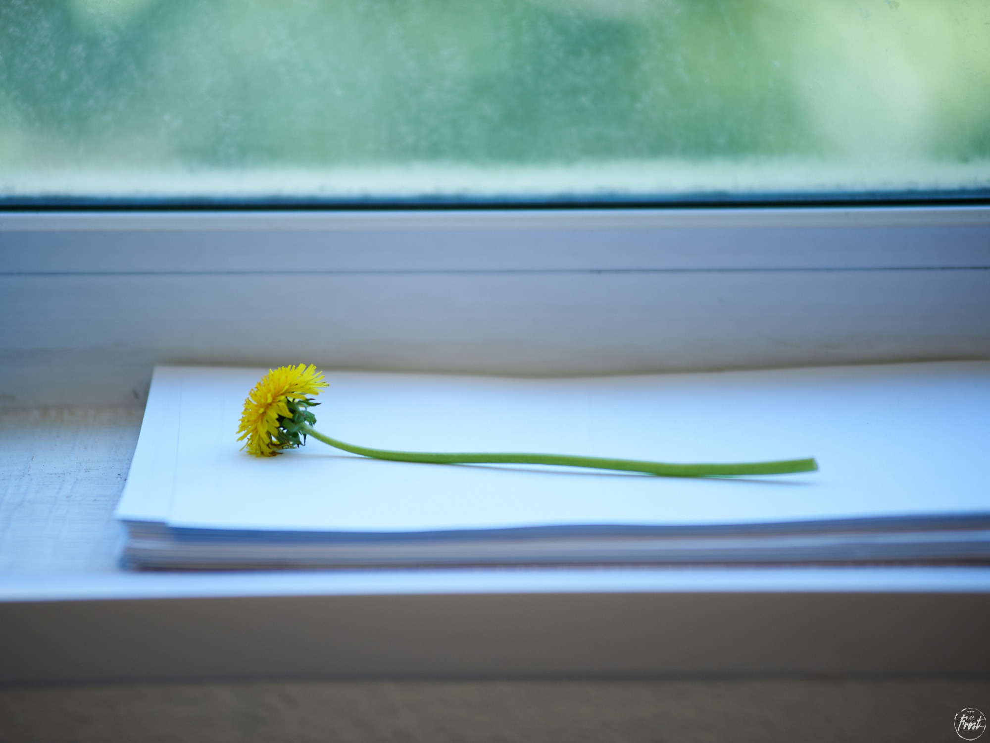 Кастинг сериала «Гриша Субботин». Фотографии отовсюду и обо всем